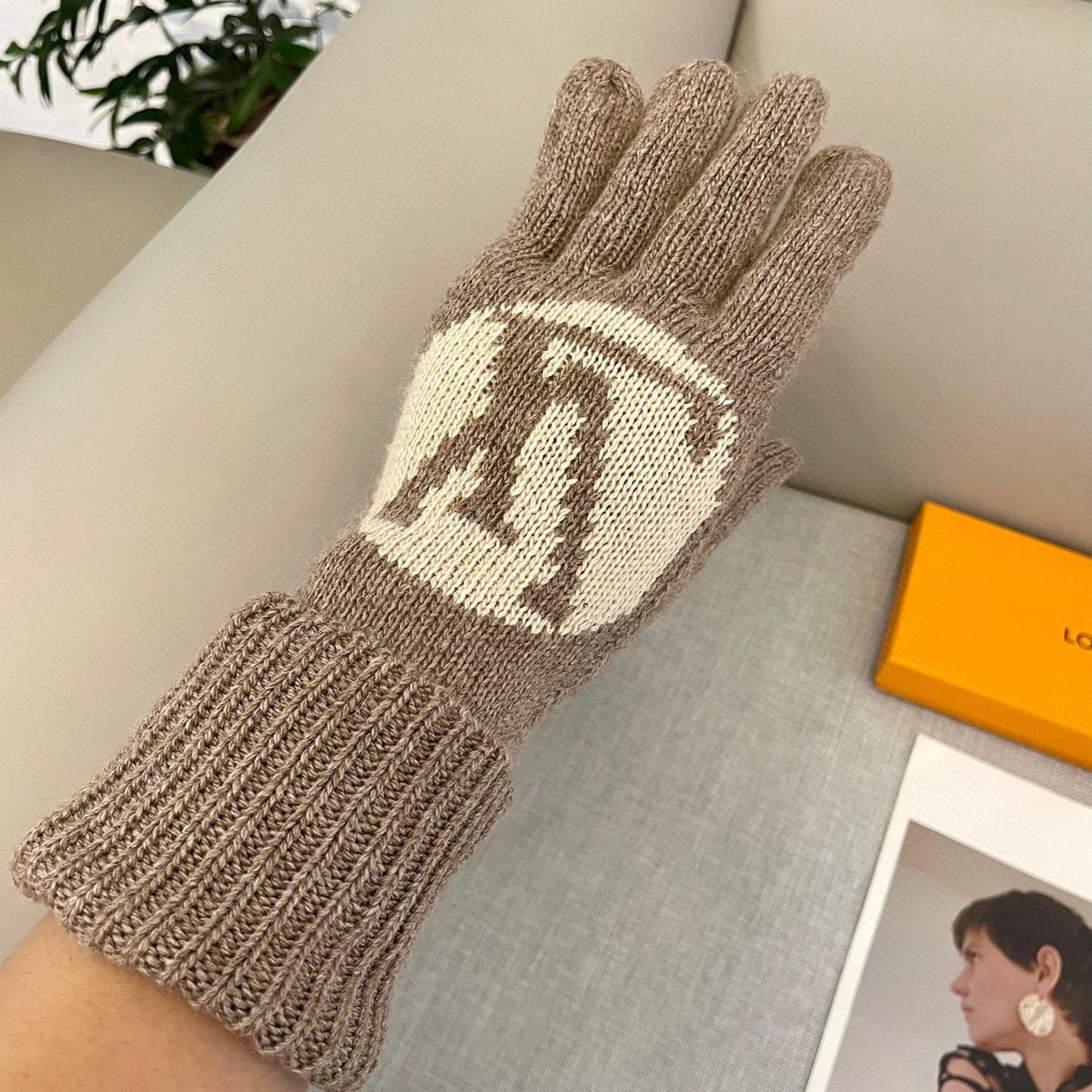 Louis Vuitton LV Medallion Gloves - FashionPlug
