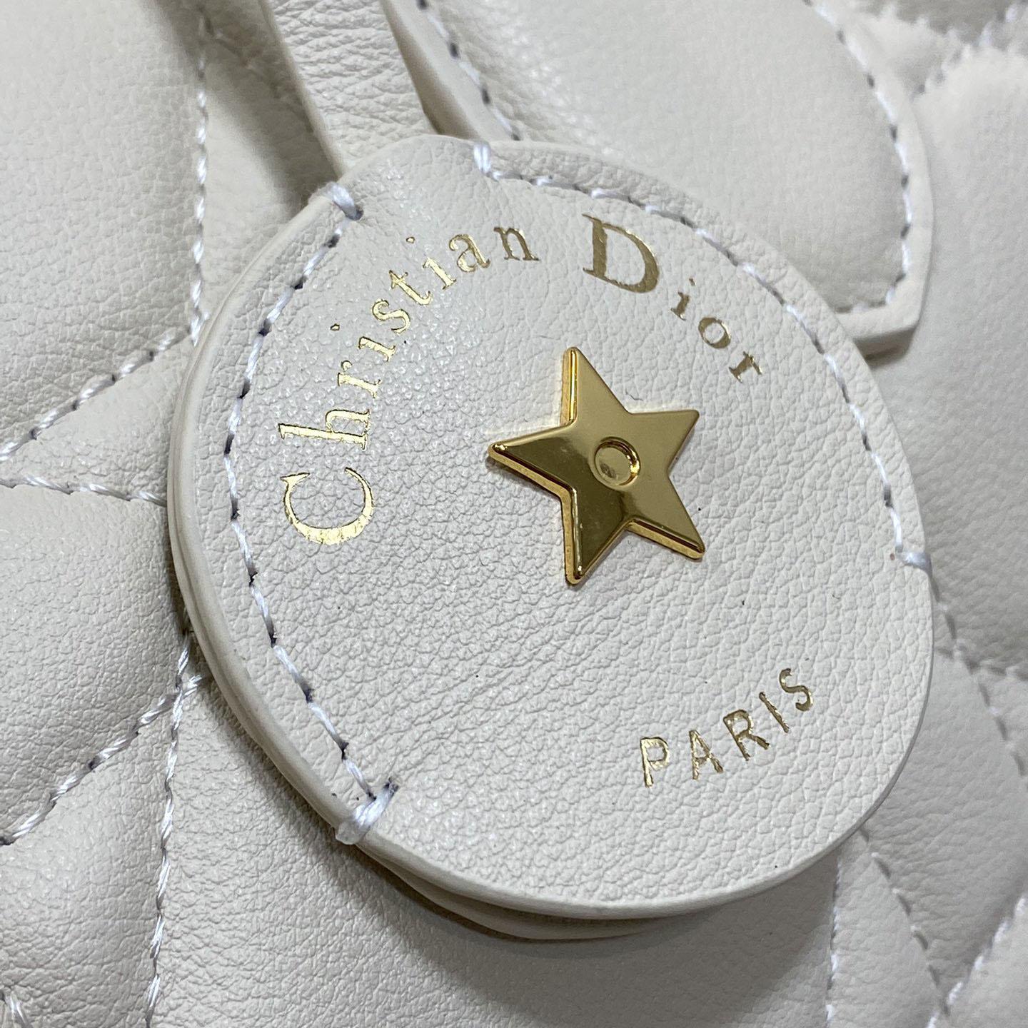 Dior Groove 20 Bag  - FashionPlug