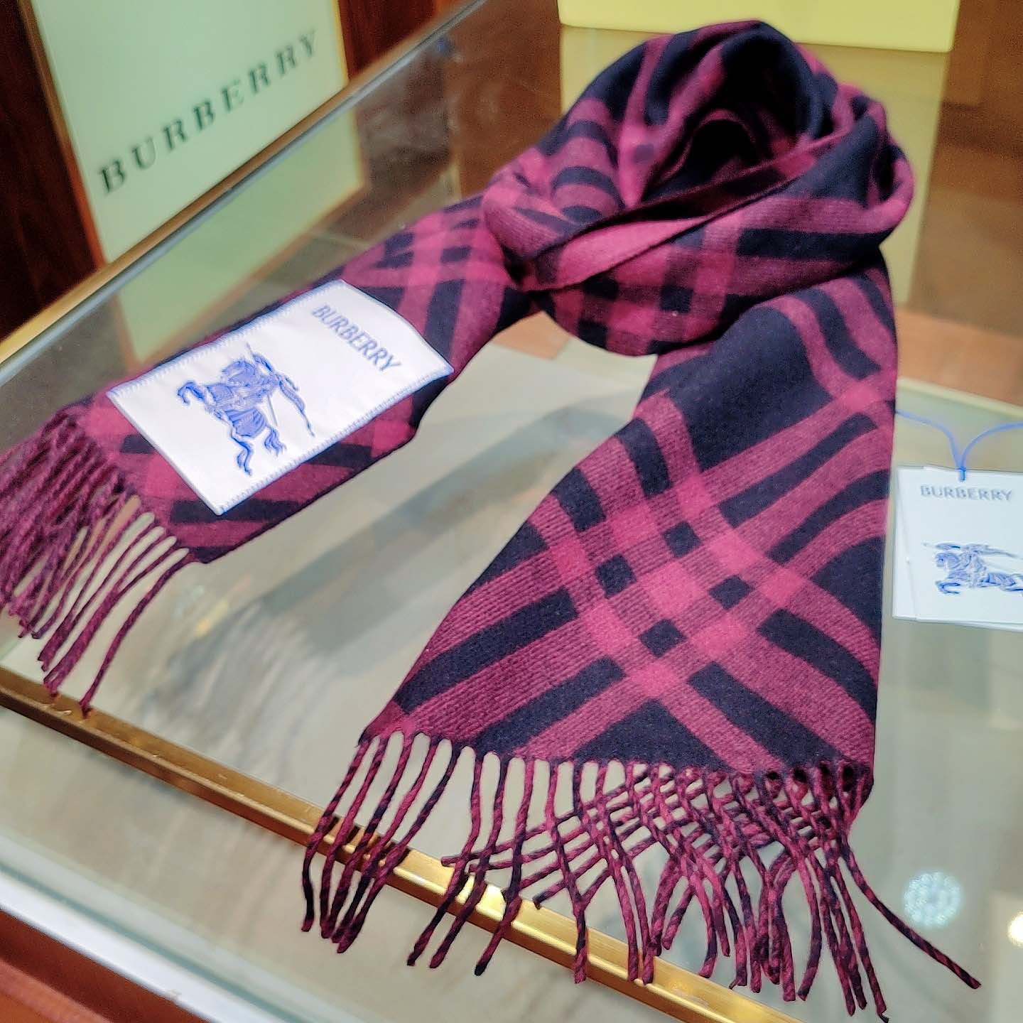 Burberry Check Cashmere Scarf - FashionPlug