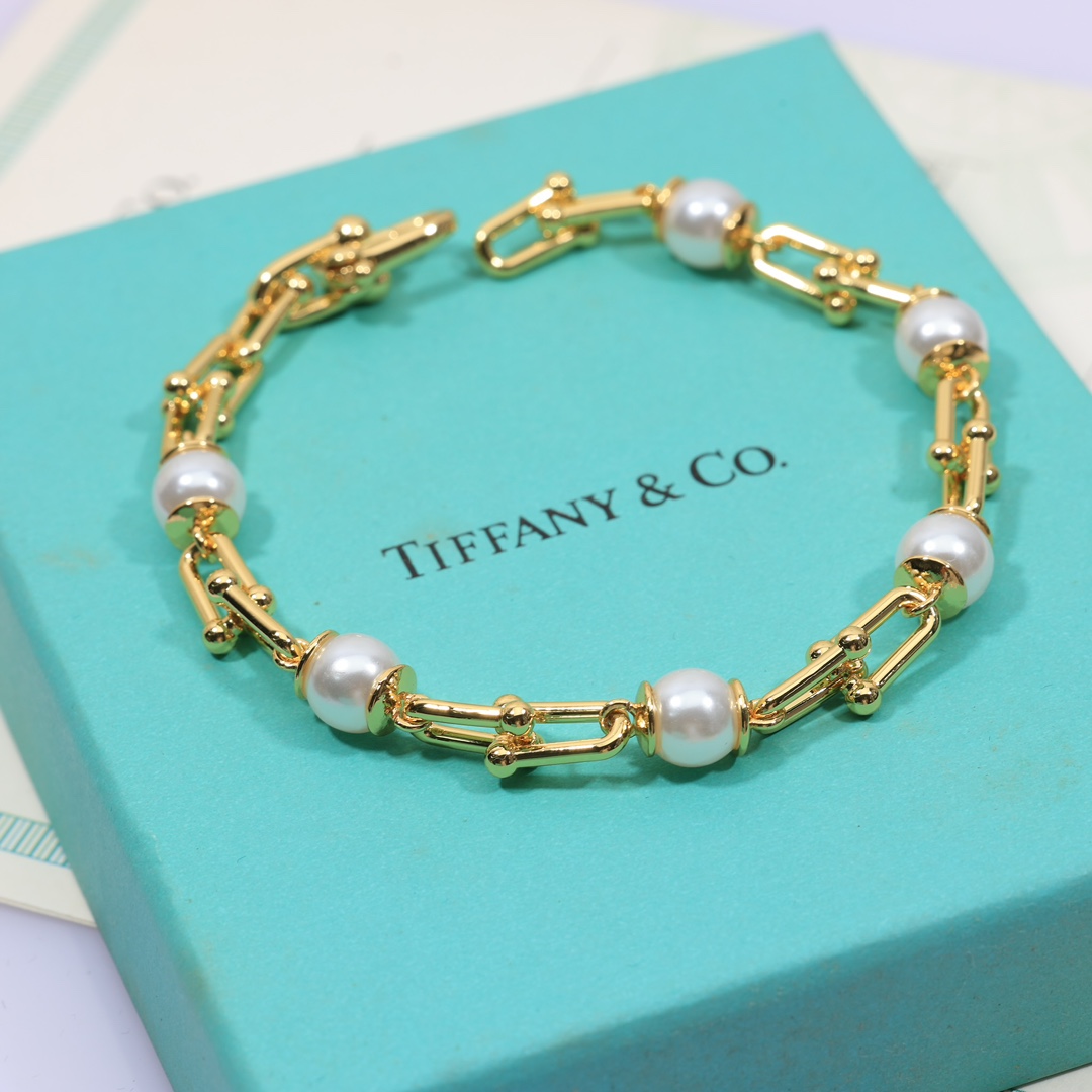 Tiffany & Co. Link Bracelet - FashionPlug