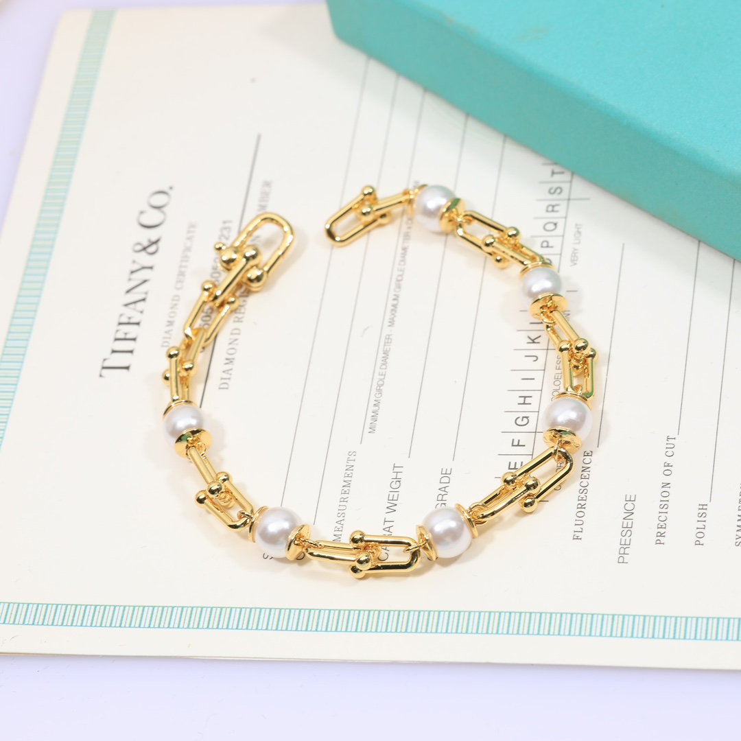 Tiffany & Co. Link Bracelet - FashionPlug