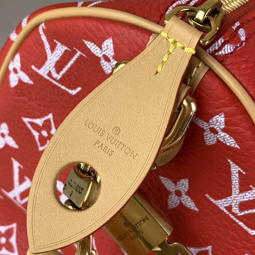 Louis Vuitton Speedy P9 Bandoulière 25   M24425 - FashionPlug