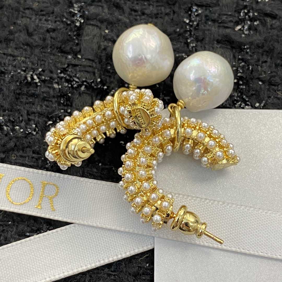 Dior Earrings - FashionPlug
