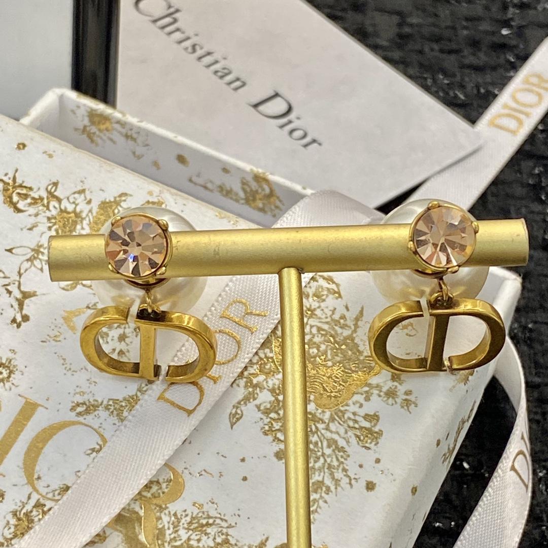 Dior Earrings - FashionPlug