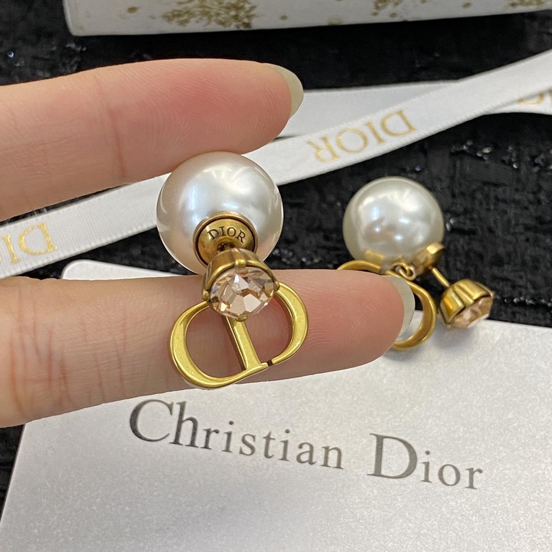 Dior Earrings - FashionPlug