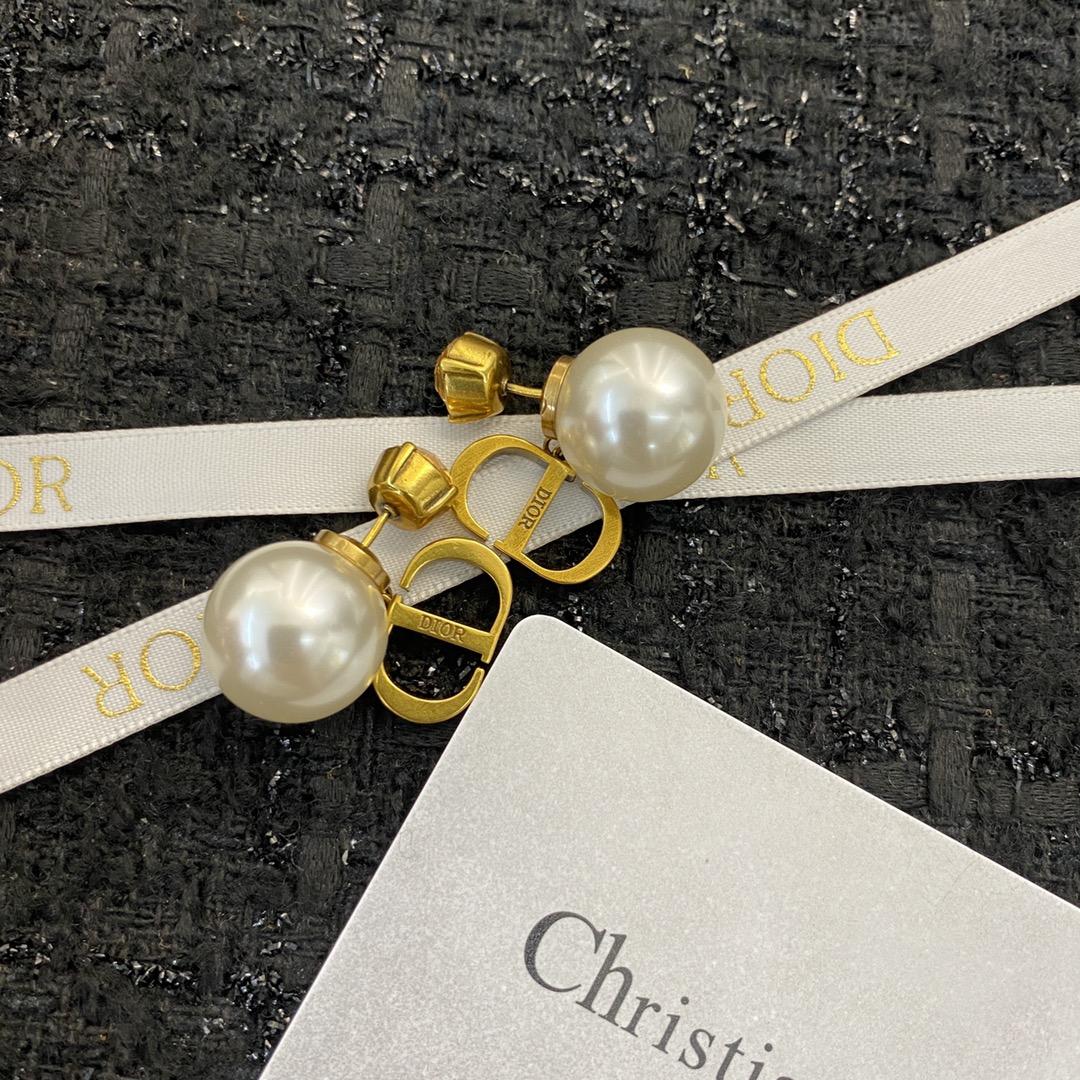 Dior Earrings - FashionPlug