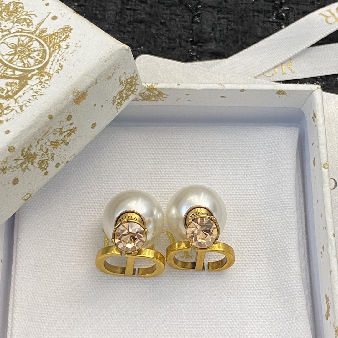 Dior Earrings - FashionPlug