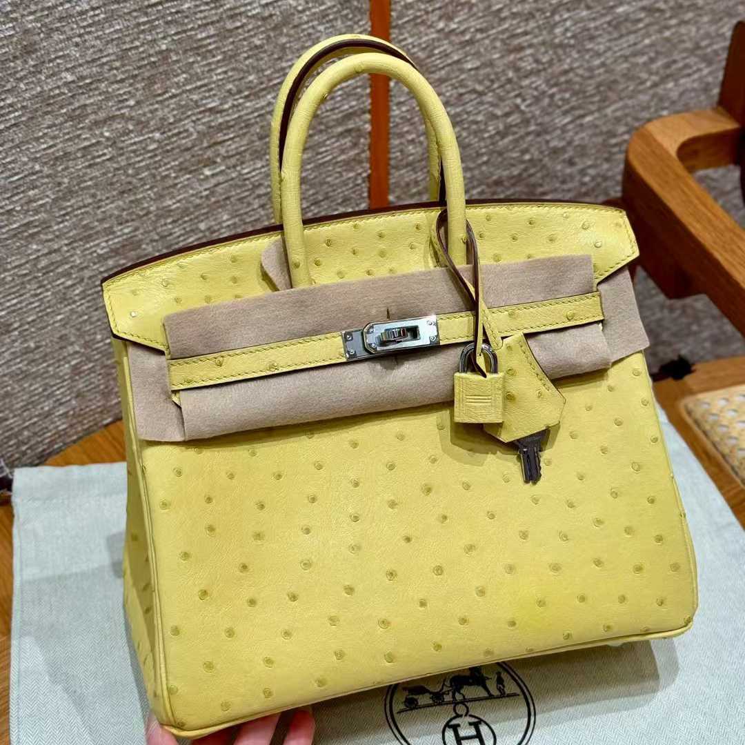Hermes Kelly Handbag   25-20-13cm - FashionPlug