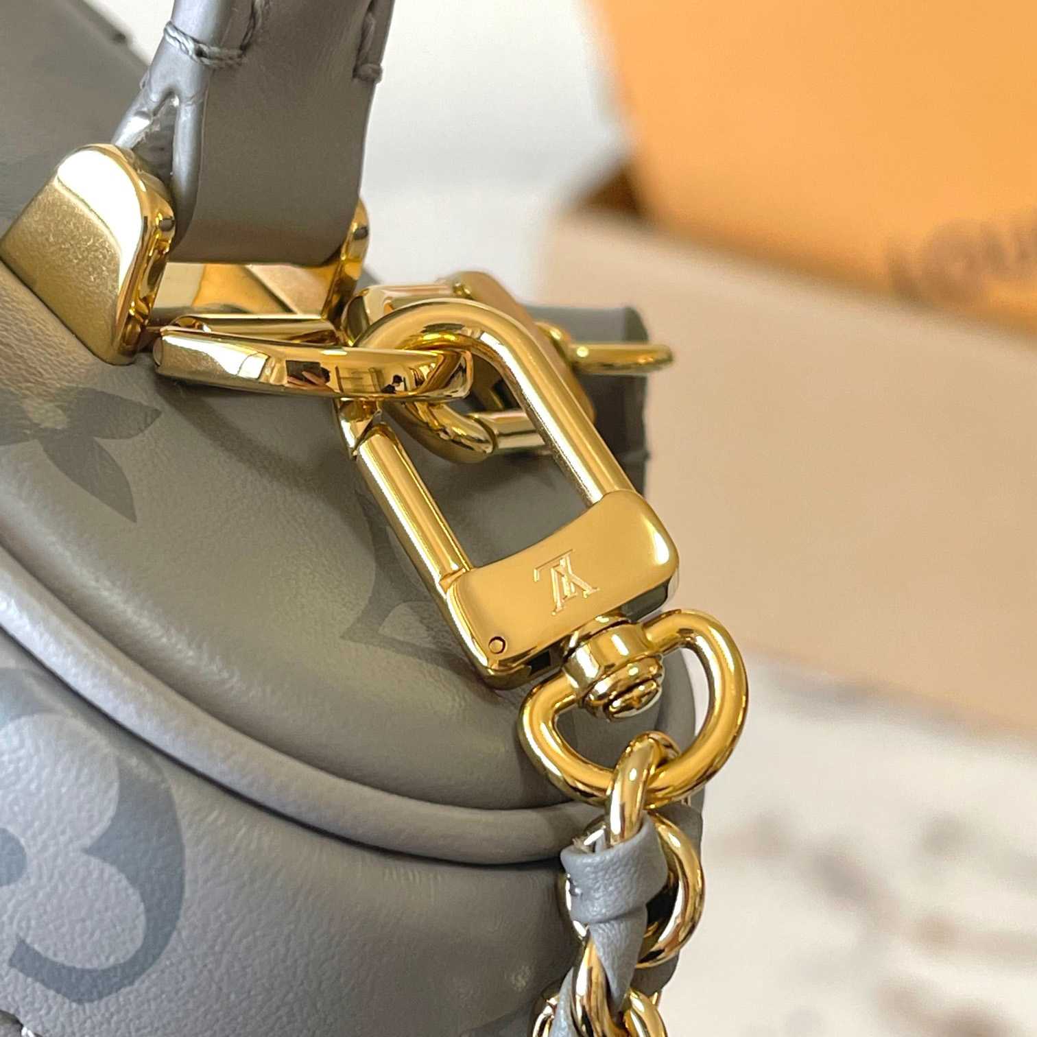 Louis Vuitton Vanity Chain Pouch    M12427 - FashionPlug