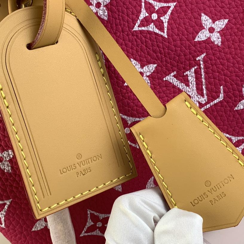 Louis Vuitton Speedy P9 Bandoulière 25   (25 x 15 x15cm) - FashionPlug