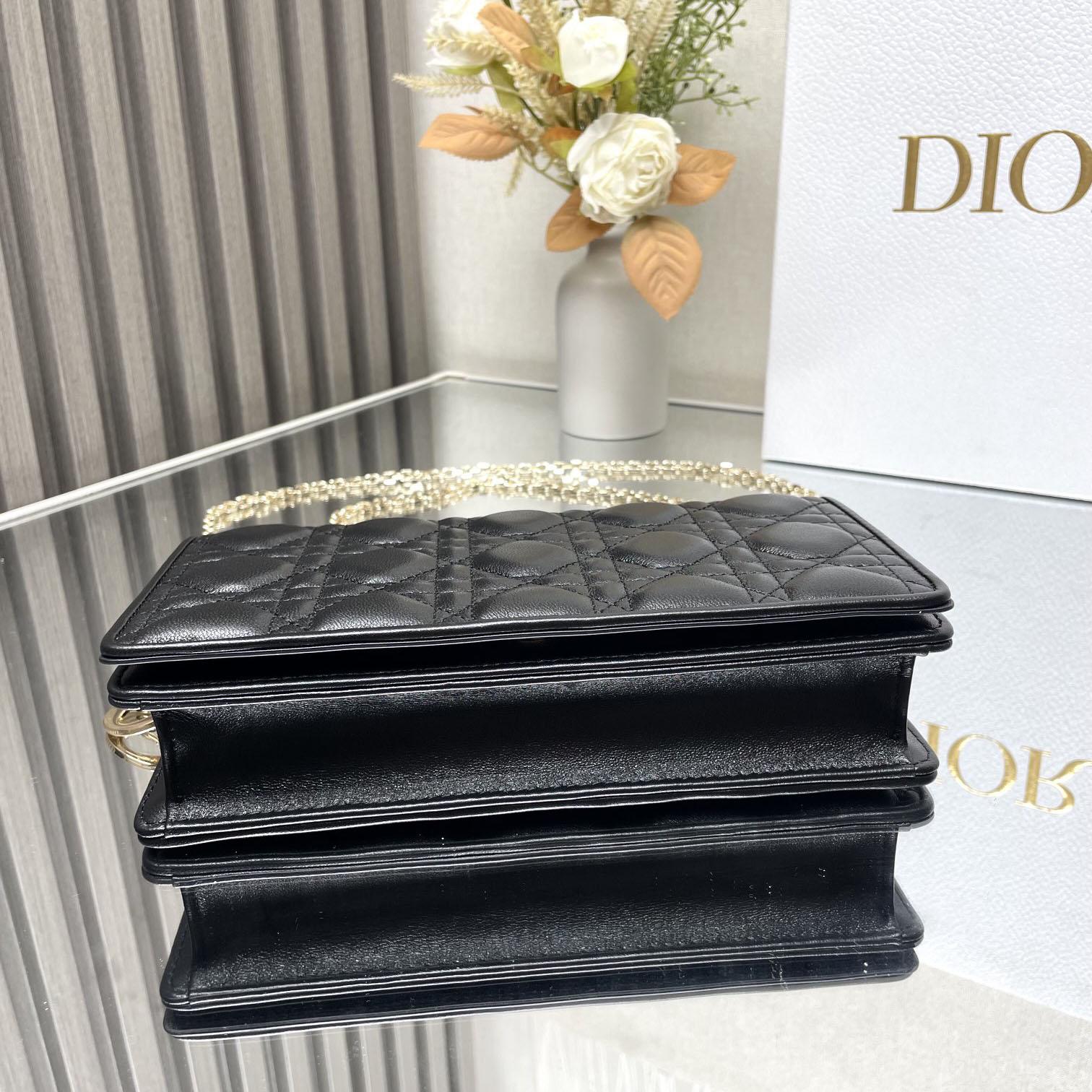 Dior Lady Dior Pouch - FashionPlug