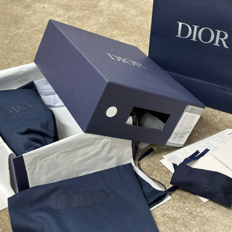 Dior B22 Sneaker  - FashionPlug
