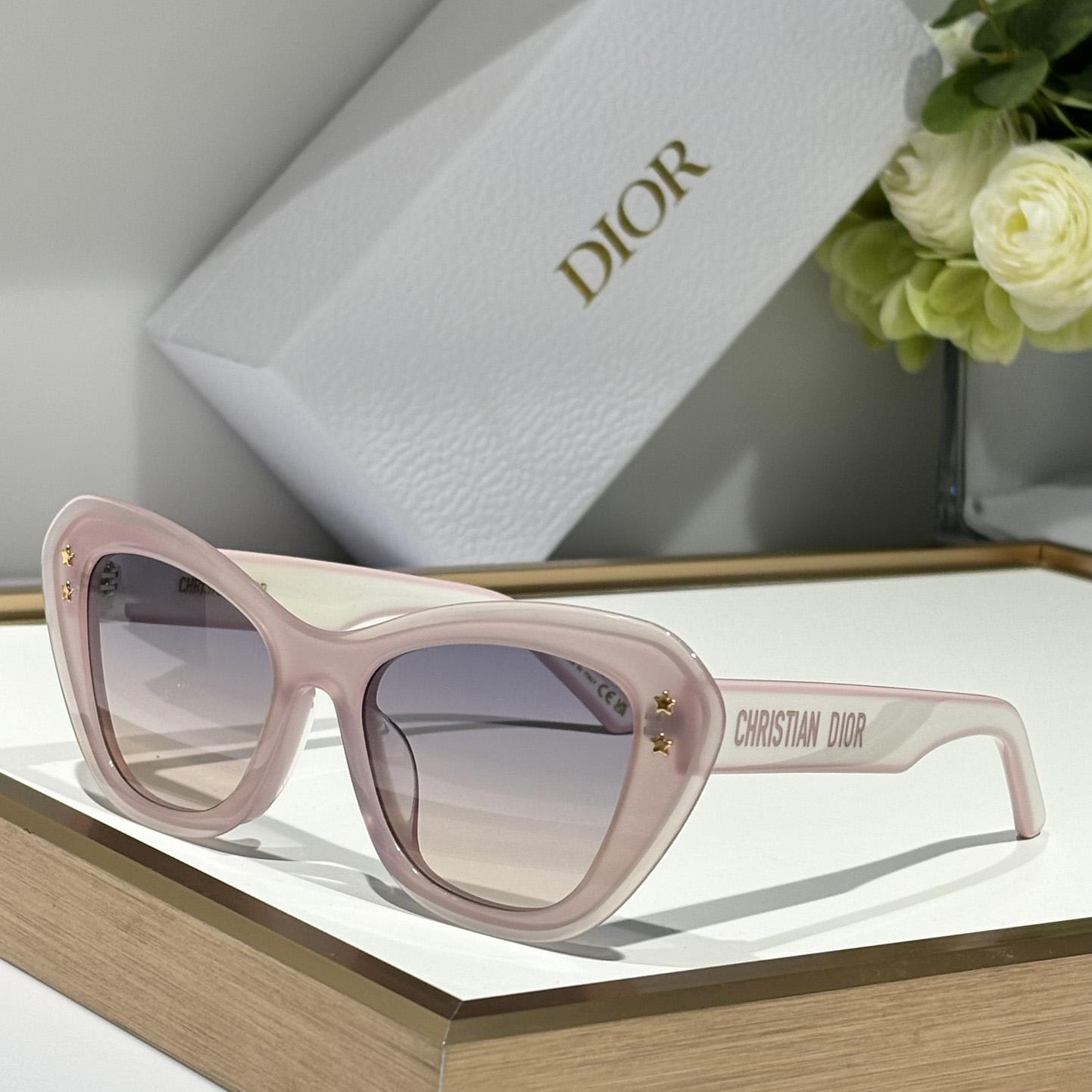 Dior PacificB3U Sunglasses - FashionPlug