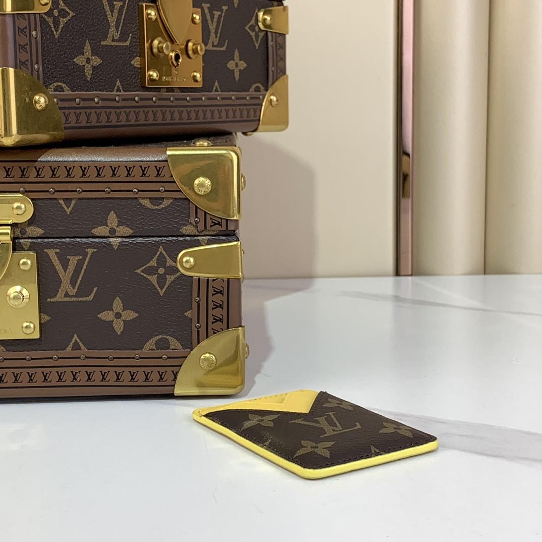 Louis Vuitton Porte-Cartes Magnet  M12853 - FashionPlug