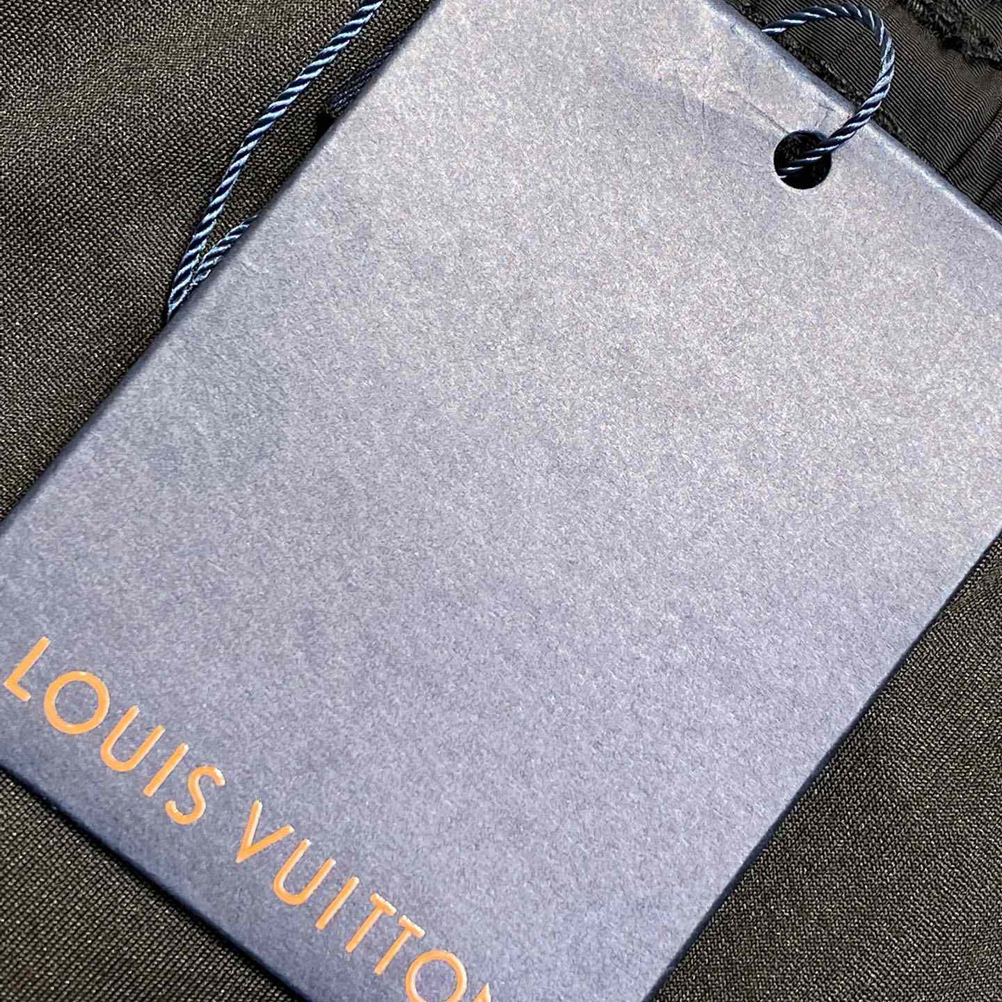 Louis Vuitton LV Blason Gradient Embroidered Swim Shorts   1AGTQT - FashionPlug