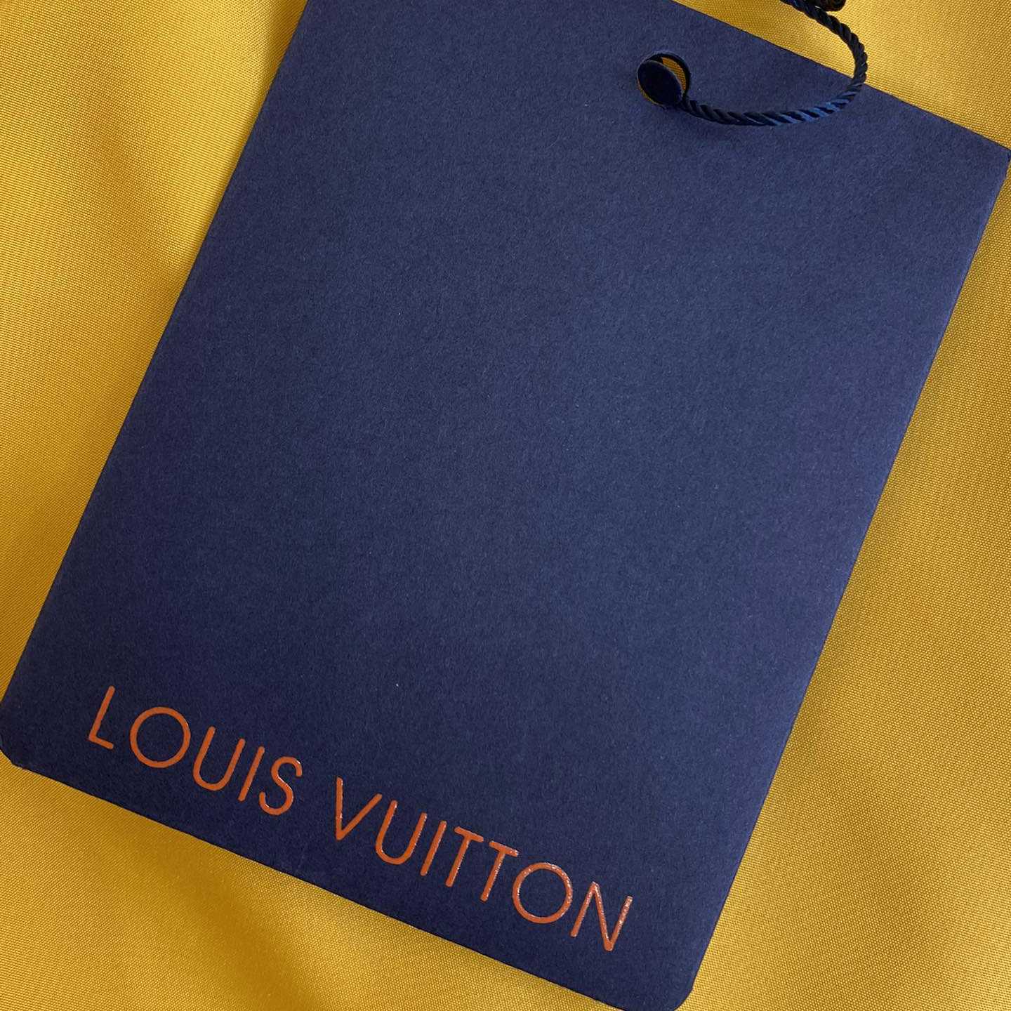 Louis Vuitton Monogram Printed Technical Track Pants   1AFWQM - FashionPlug