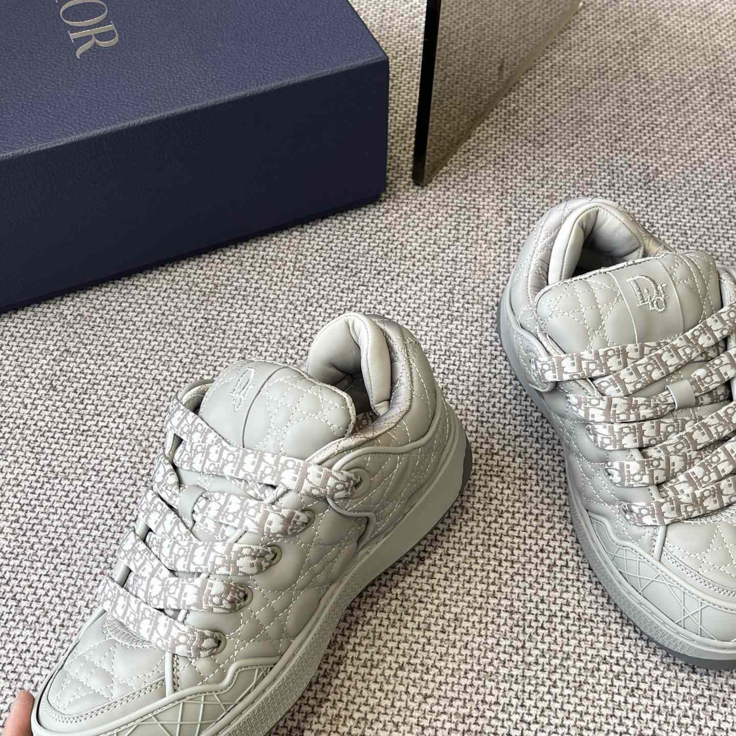 Dior B9S Skater Sneakers - FashionPlug