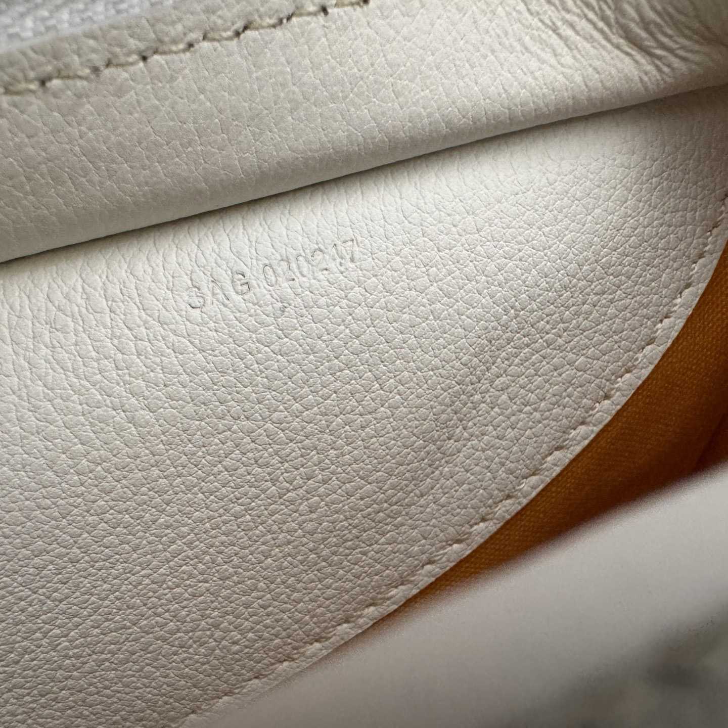 Goyard Hirondelle Bag（Without a box） - FashionPlug
