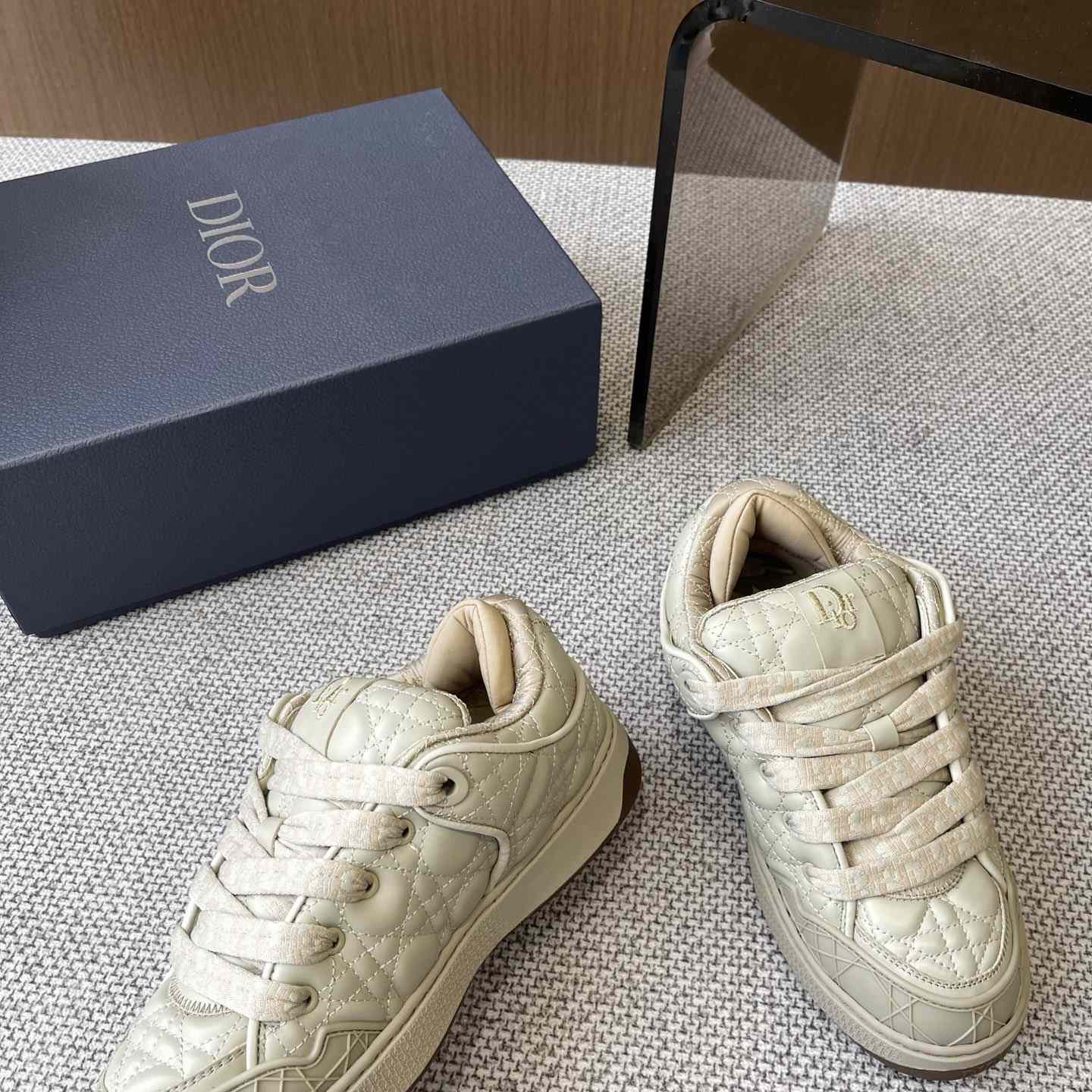 Dior B9S Skater Sneakers - FashionPlug