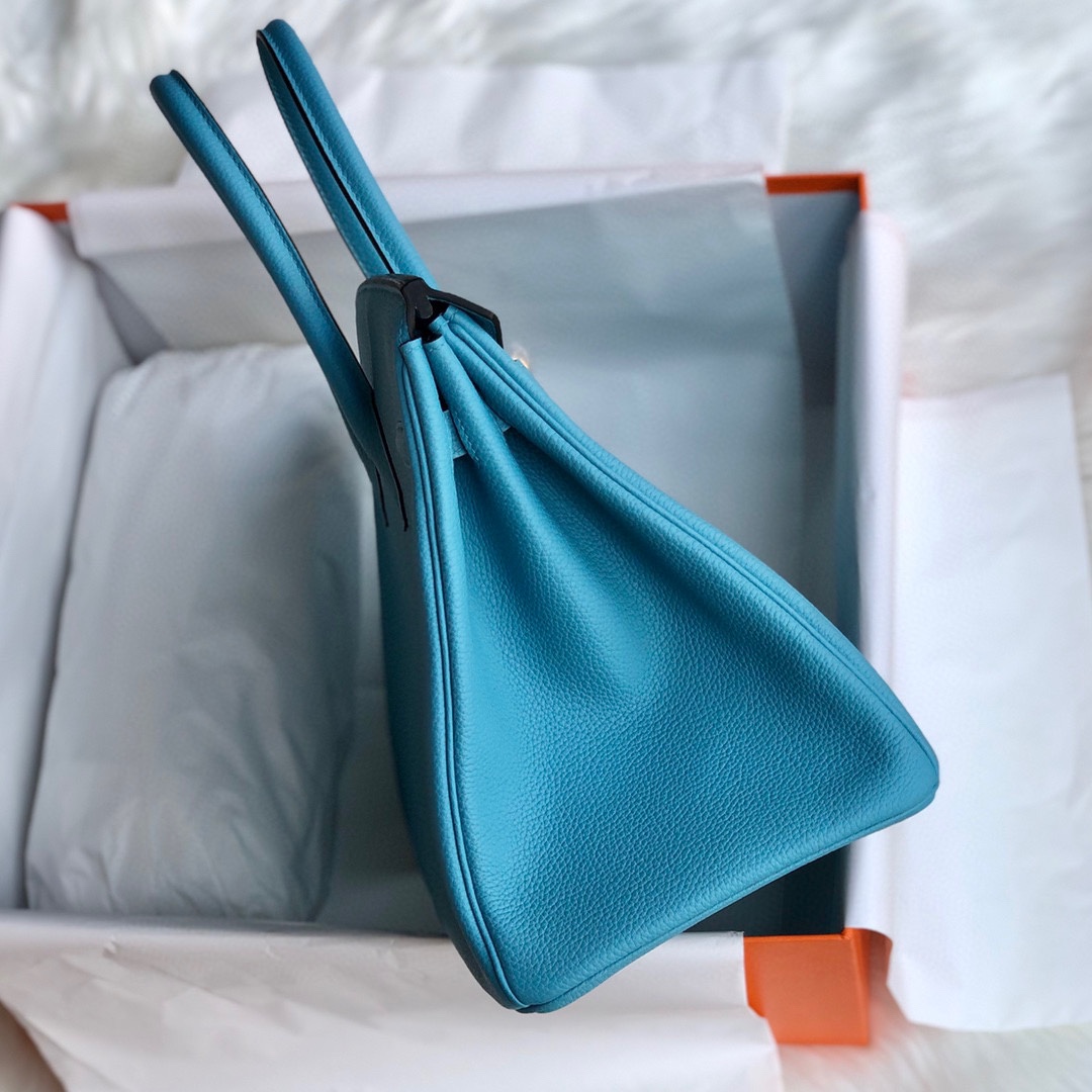 Hermès Blue Mallard Togo 25 cm Birkin Bag - FashionPlug