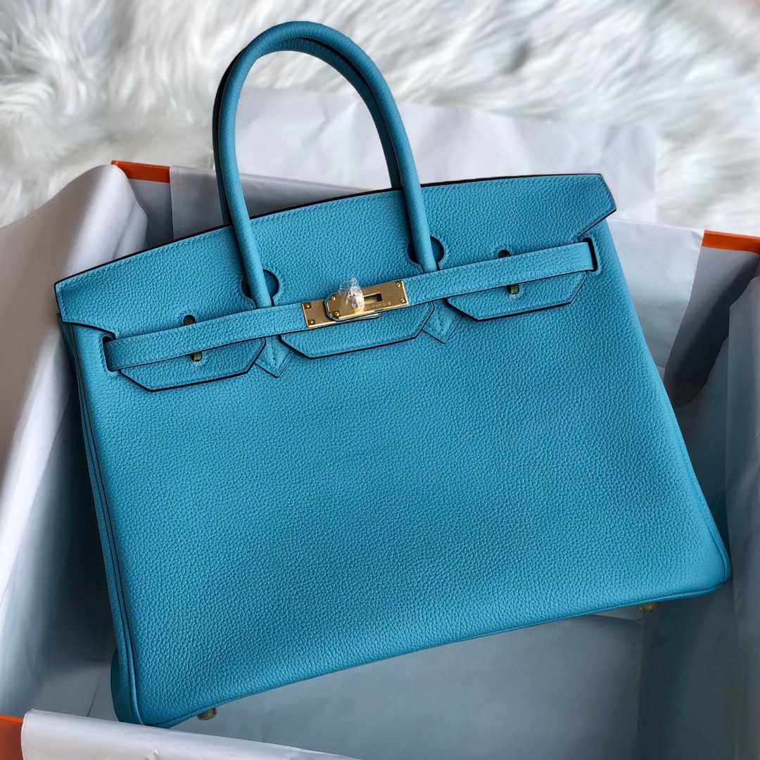 Hermès Blue Mallard Togo 25 cm Birkin Bag - FashionPlug