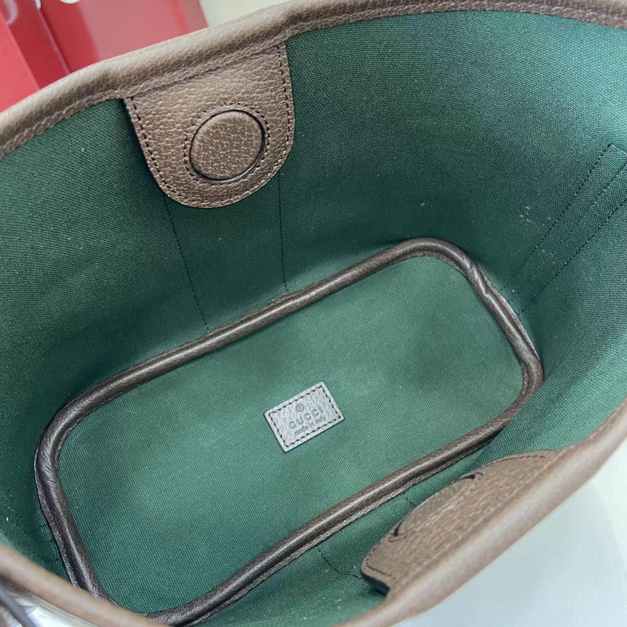 Gucci Ophidia Small Shoulder Bag - FashionPlug