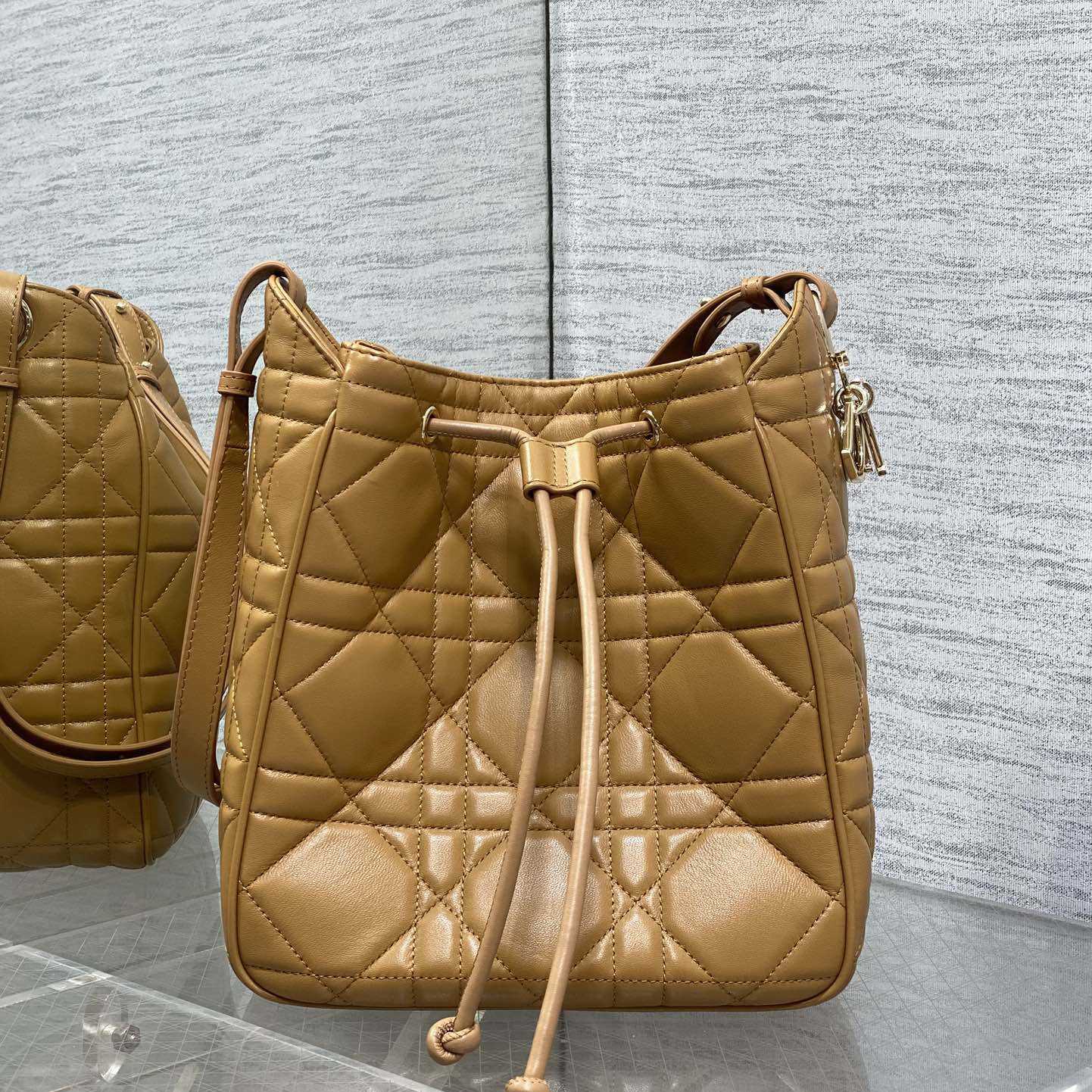 Dior Medium D-Motion Bag  - FashionPlug