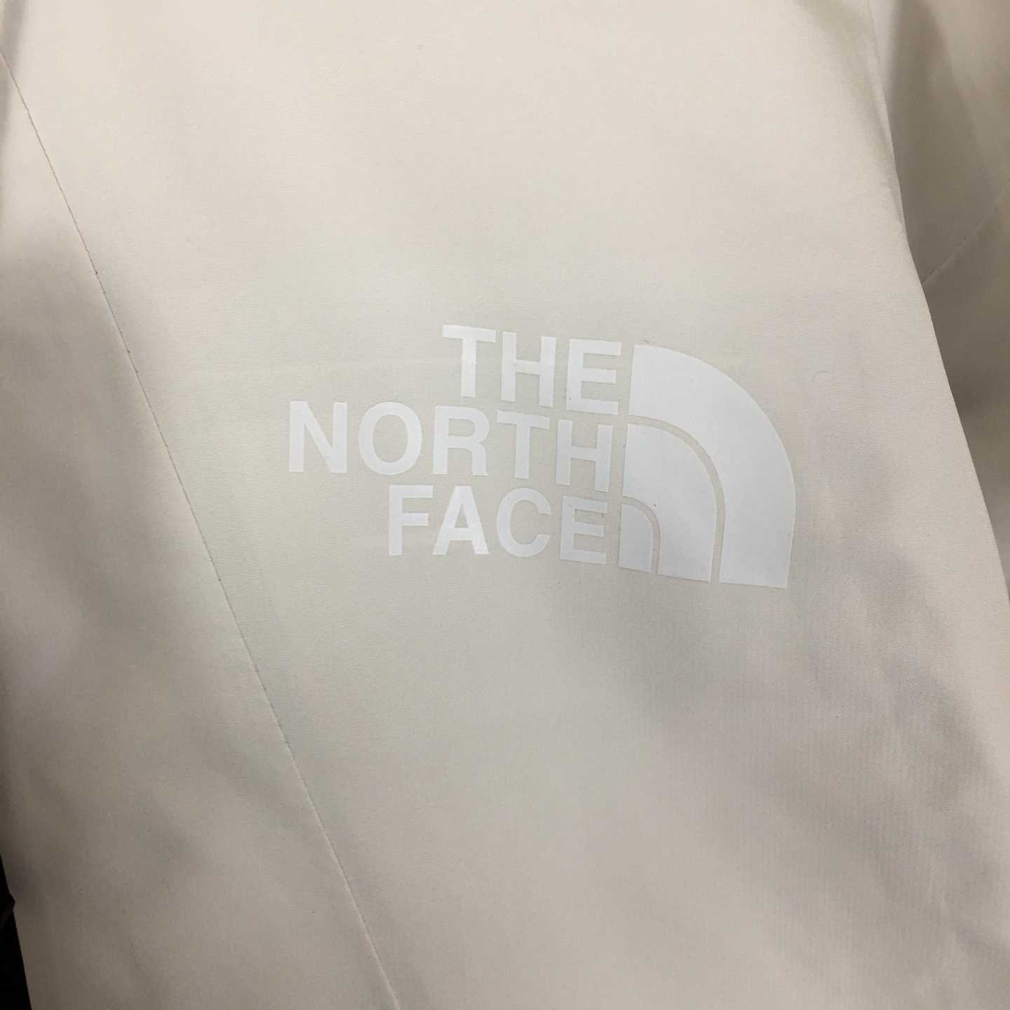 The North Face Jacket - FashionPlug