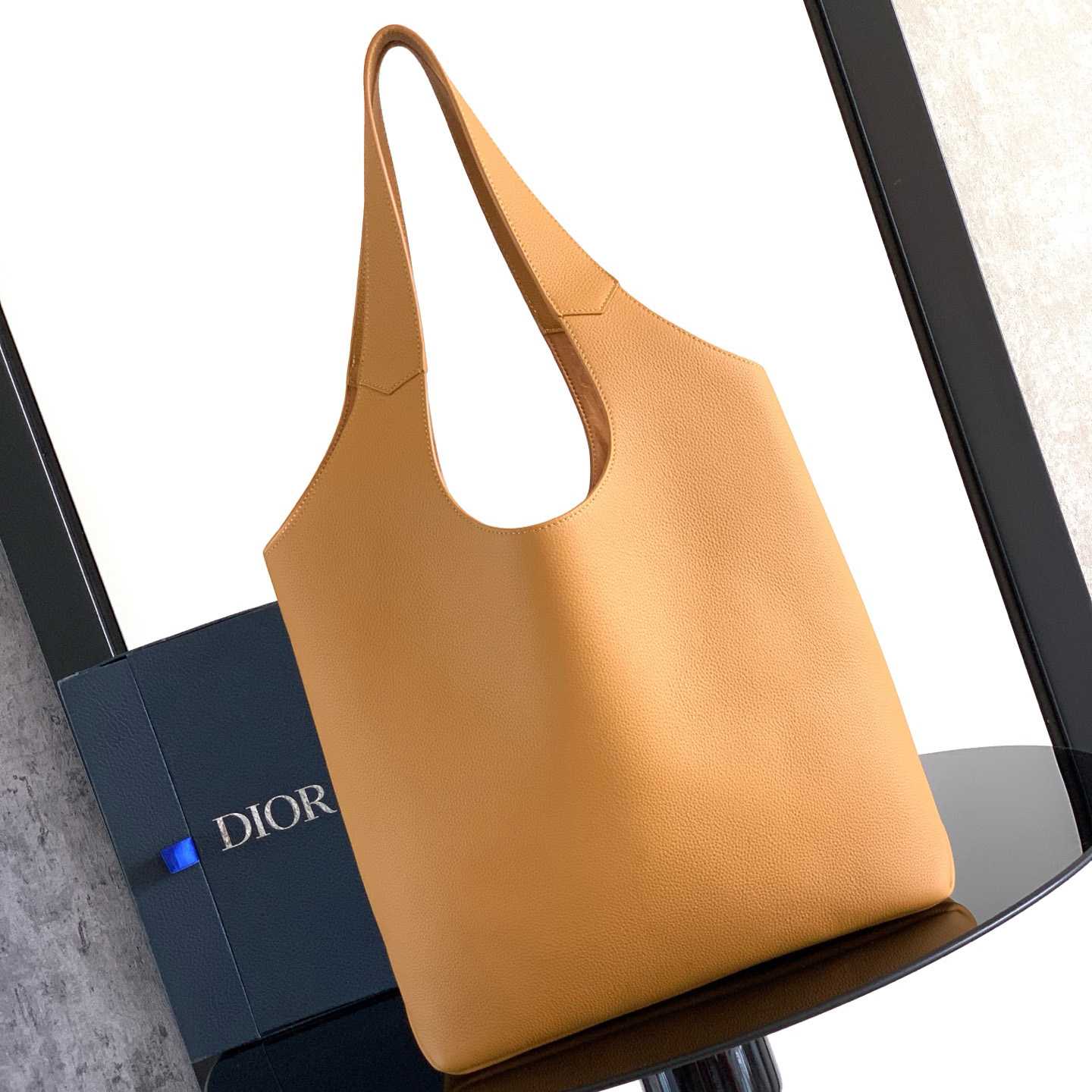 Dior Privé Tote Bag  - FashionPlug