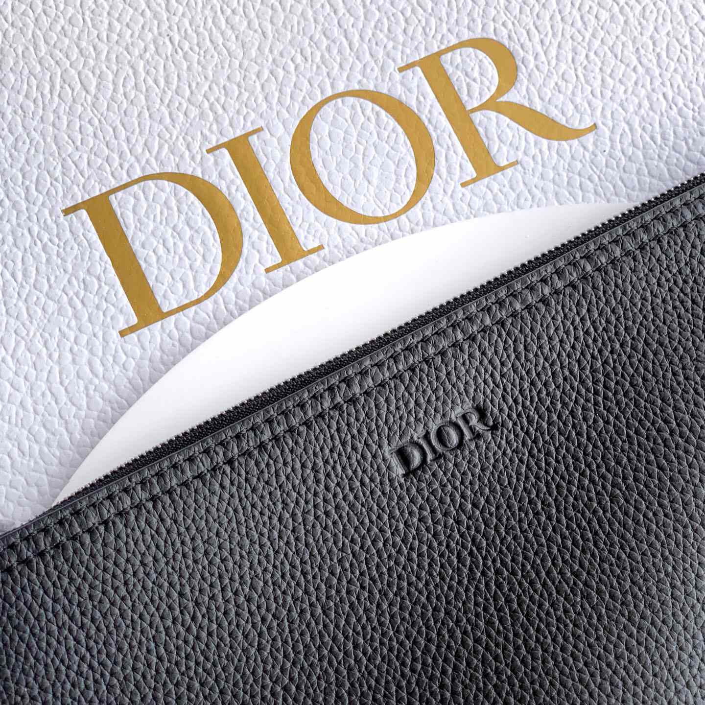 Dior Privé Tote Bag  - FashionPlug