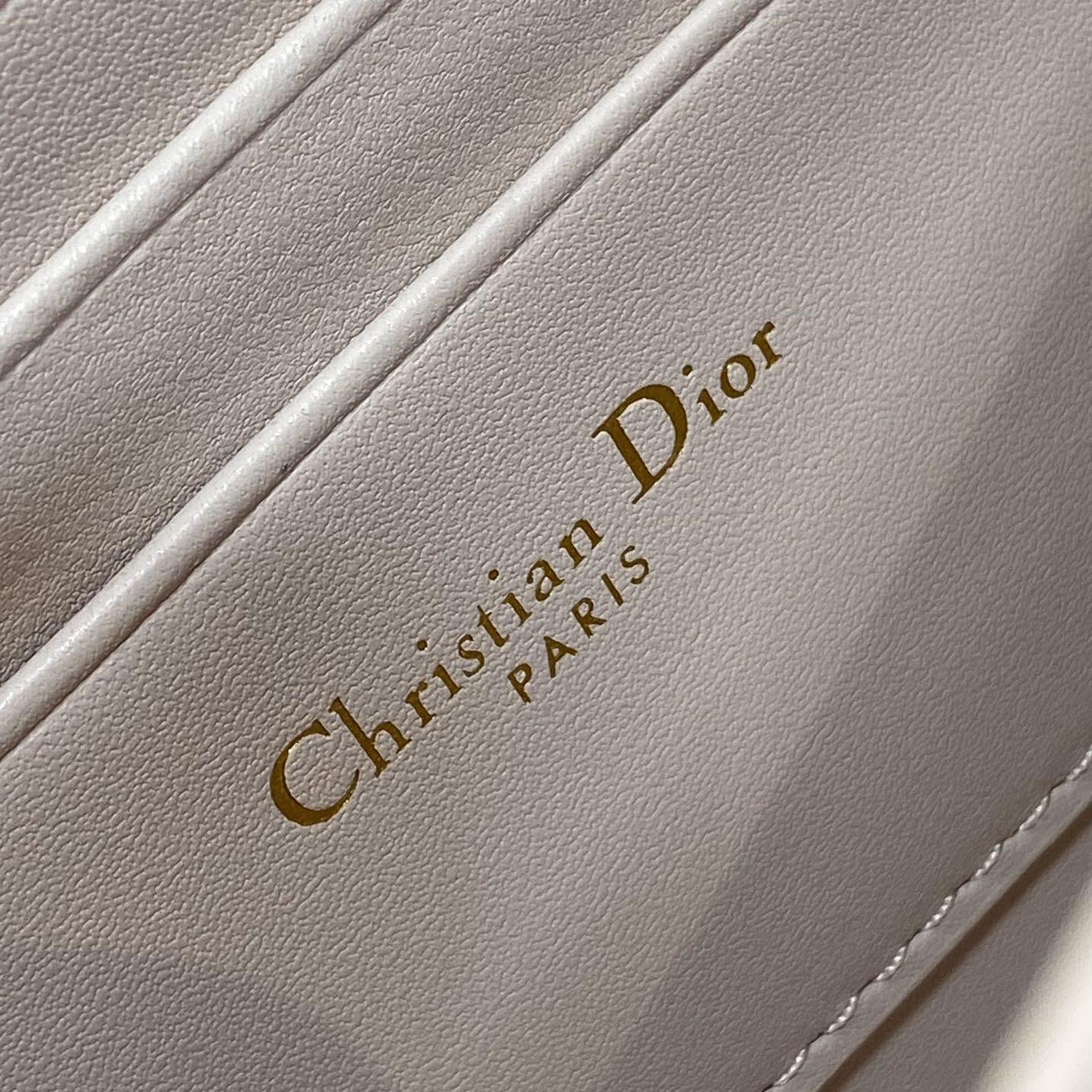 Dior Miss Caro Mini Bag  - FashionPlug