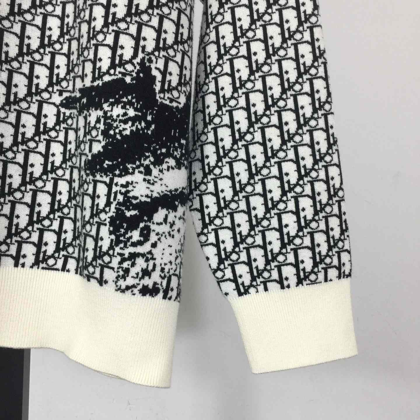 Dior Oblique Sweater In Wool - FashionPlug