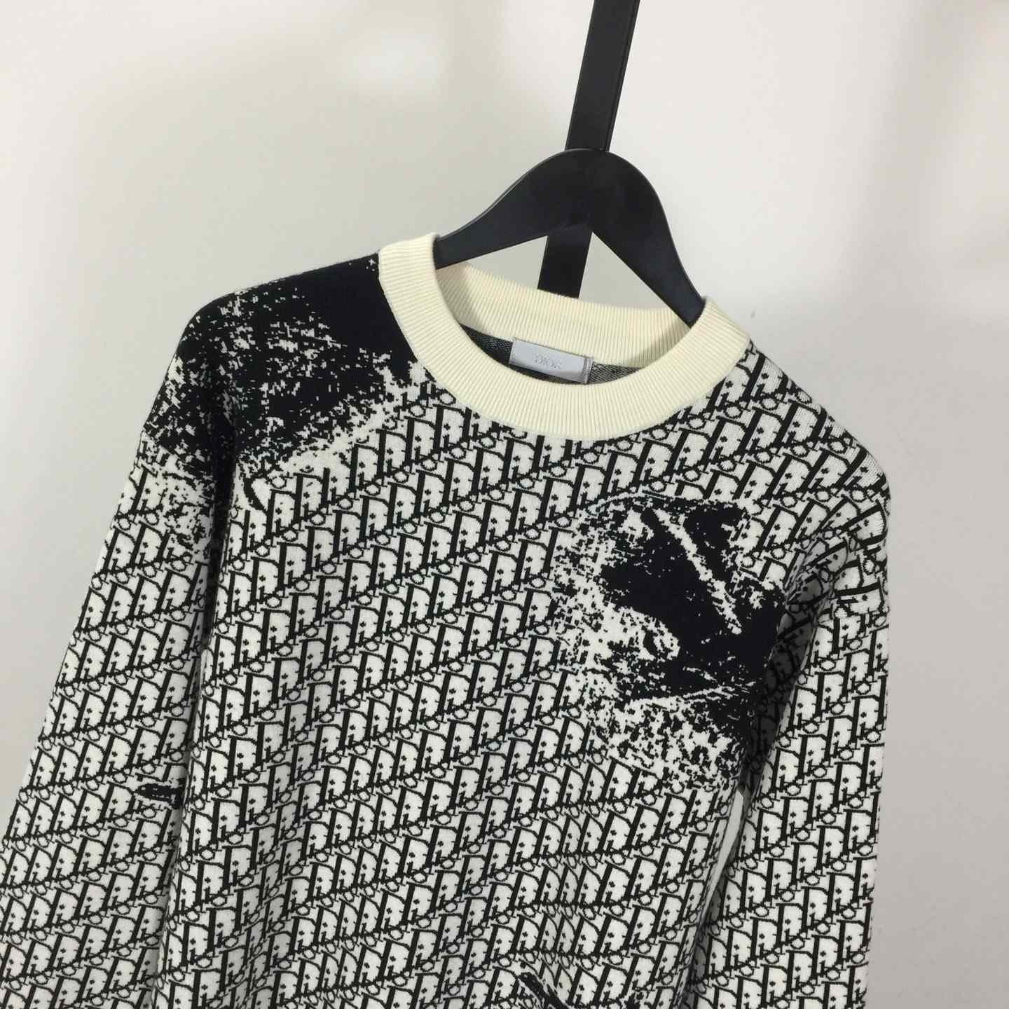 Dior Oblique Sweater In Wool - FashionPlug