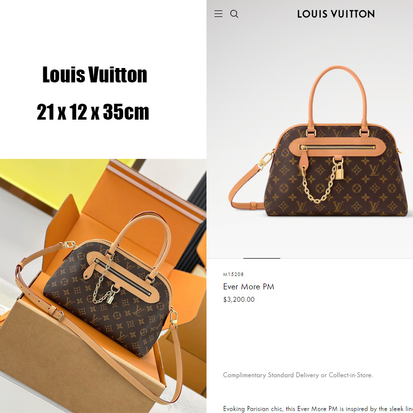 Louis Vuitton Ever More PM   M15208 - FashionPlug
