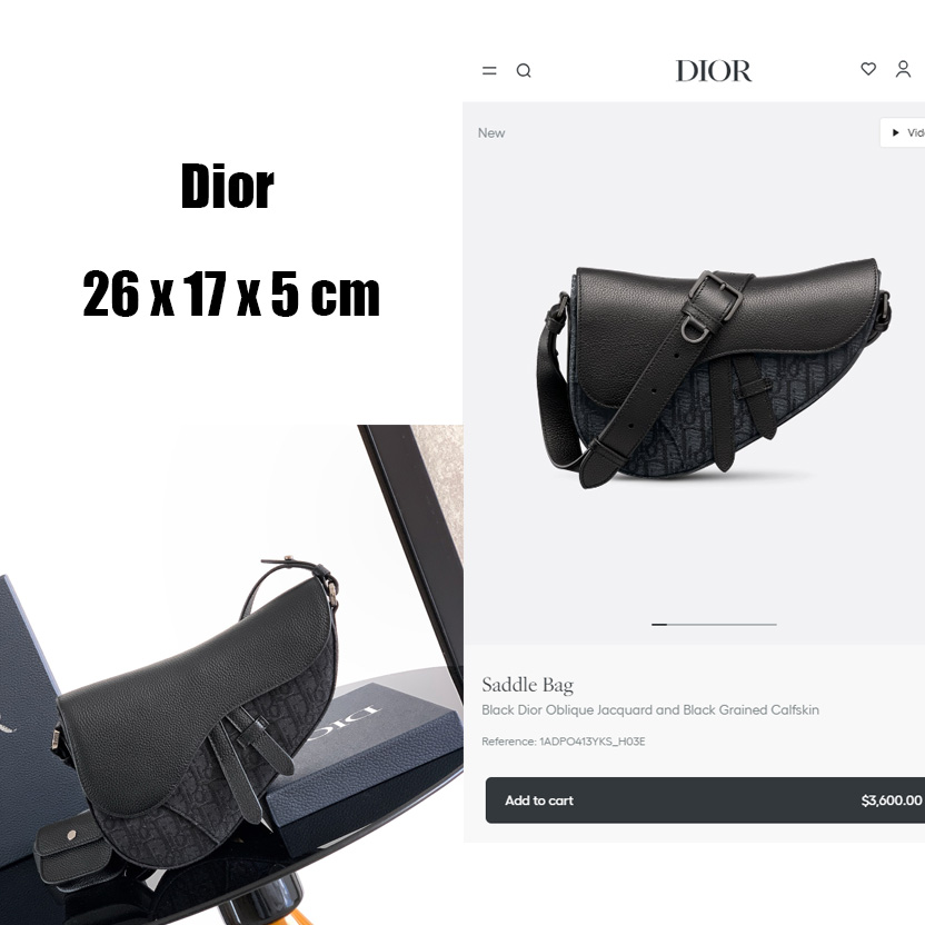 Dior Saddle Bag  - FashionPlug