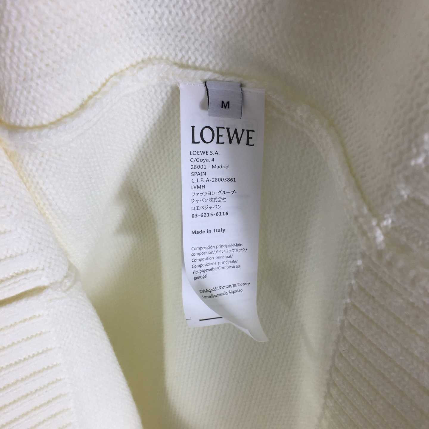 Loewe Sweater In Wool - FashionPlug