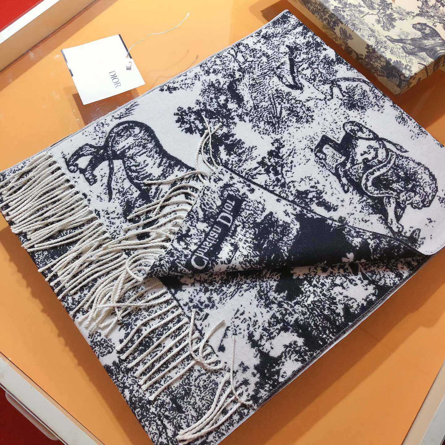 Dior Toile de Jouy Sauvage Scarf - FashionPlug