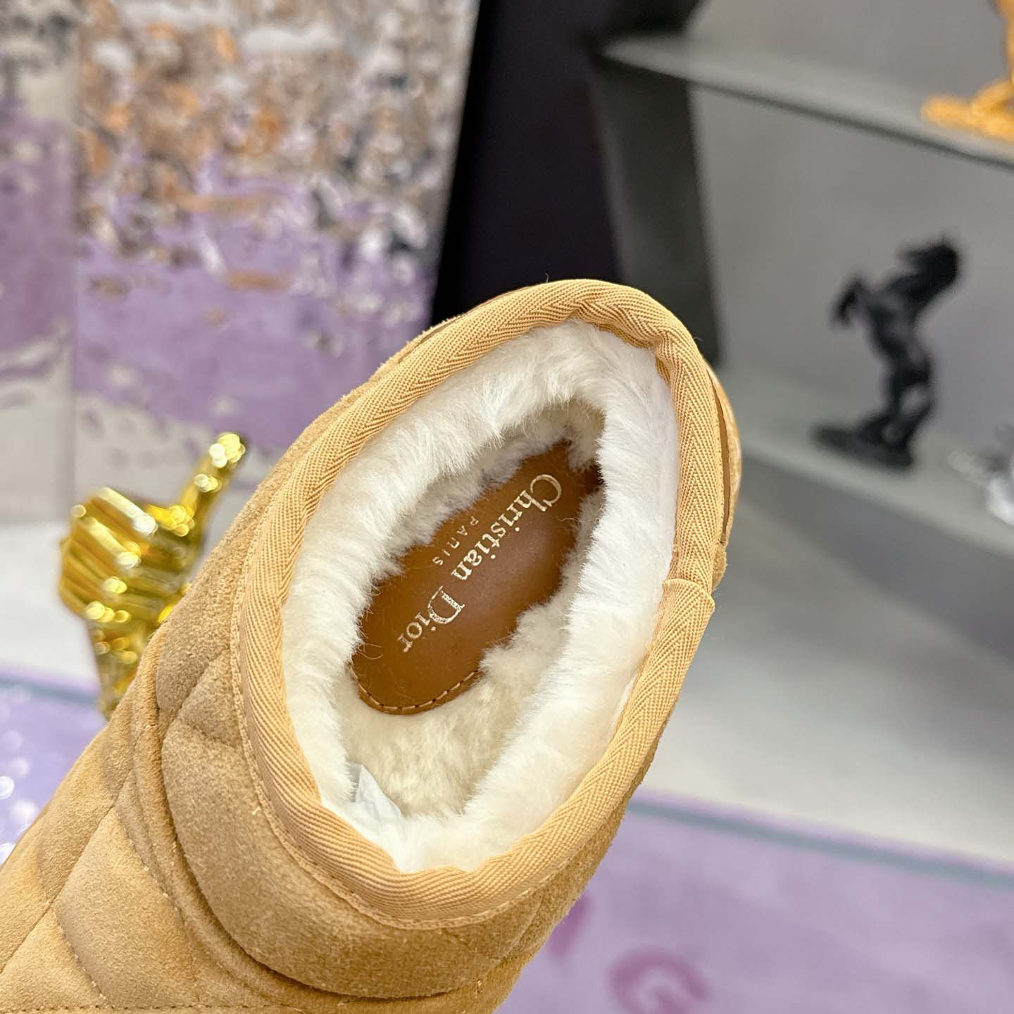 Dior Frost Low Ankle Boot - FashionPlug