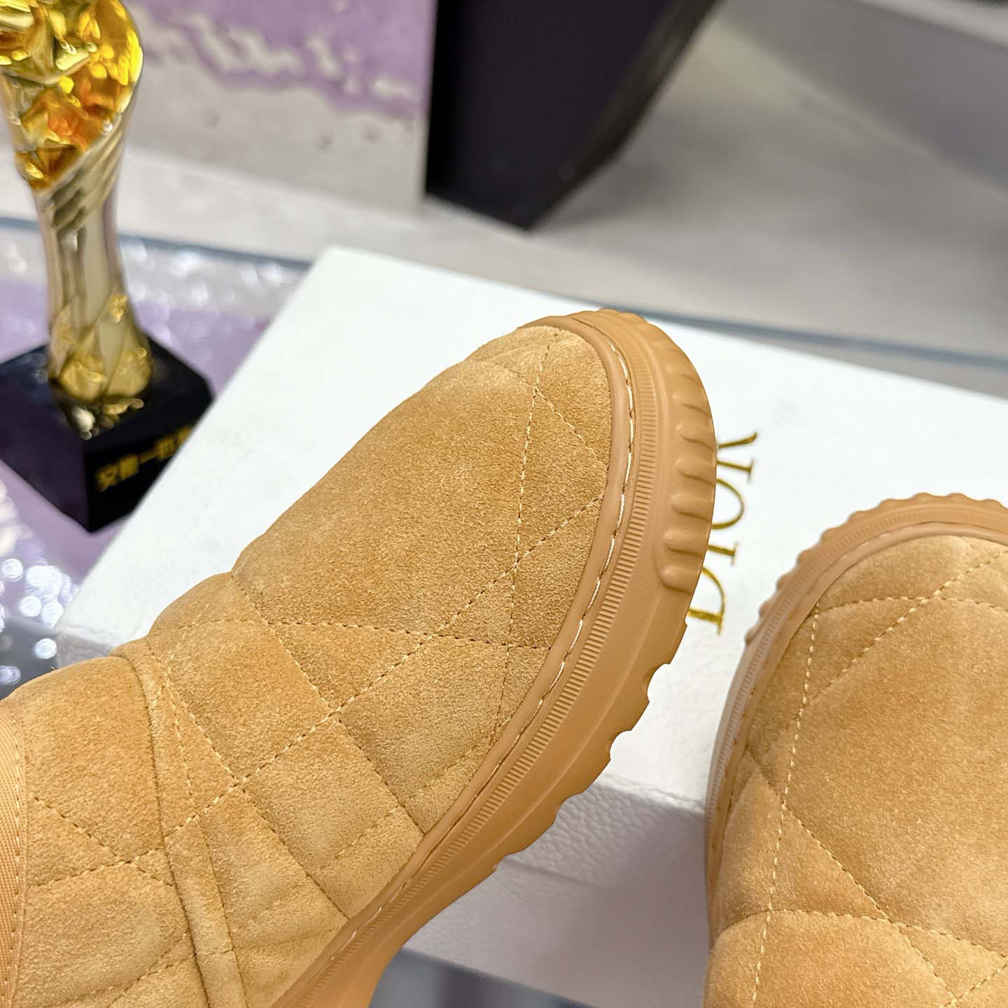 Dior Frost Low Ankle Boot - FashionPlug