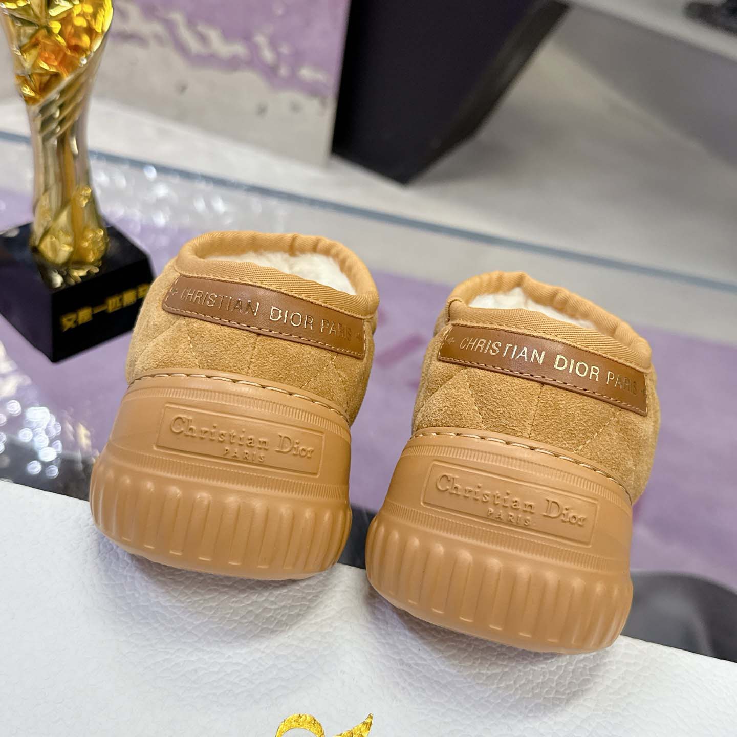 Dior Frost Low Ankle Boot - FashionPlug