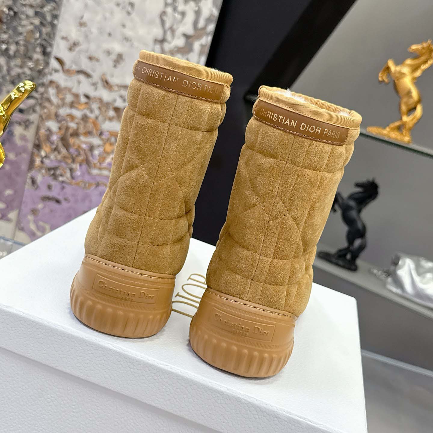 Dior Frost Ankle Boot  - FashionPlug