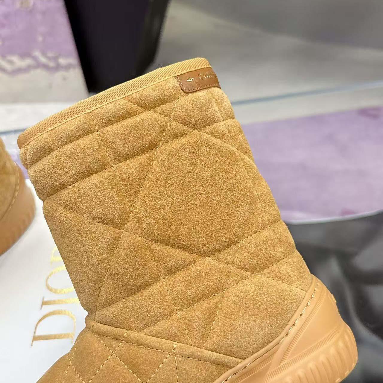 Dior Frost Ankle Boot  - FashionPlug