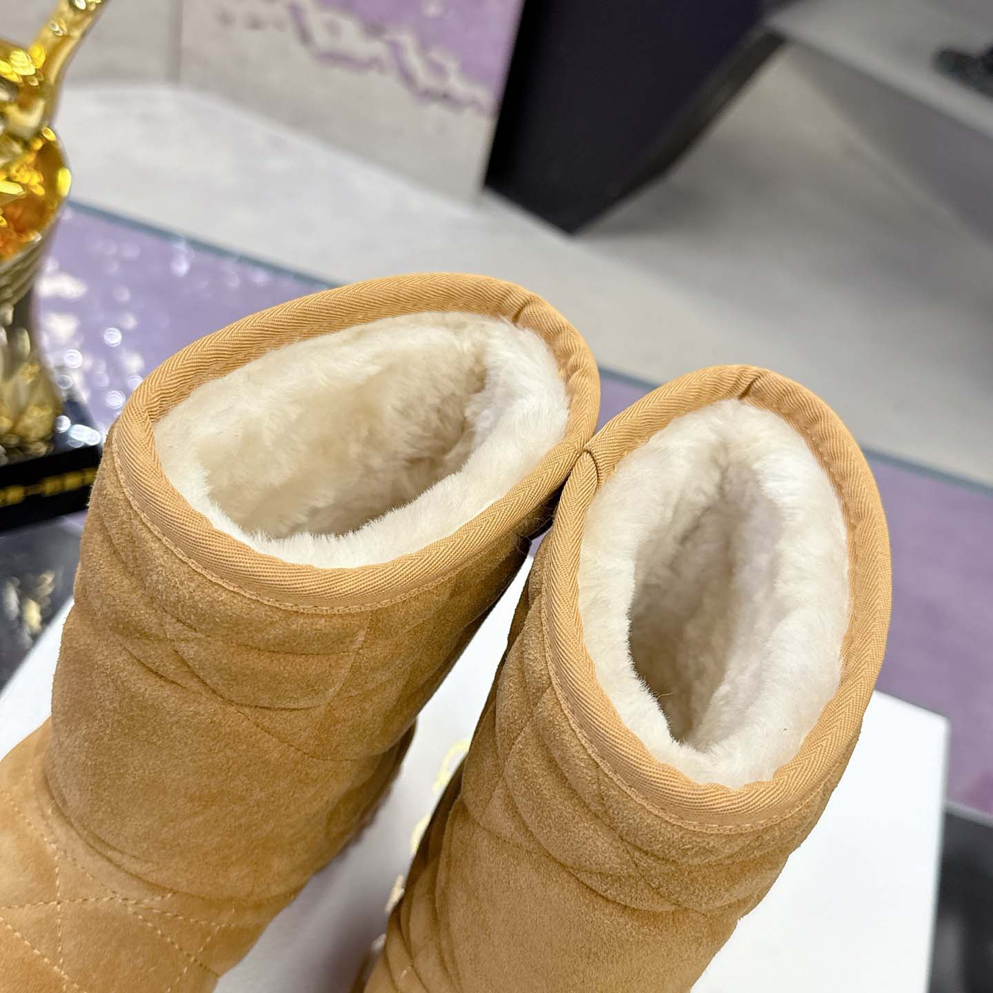 Dior Frost Ankle Boot  - FashionPlug