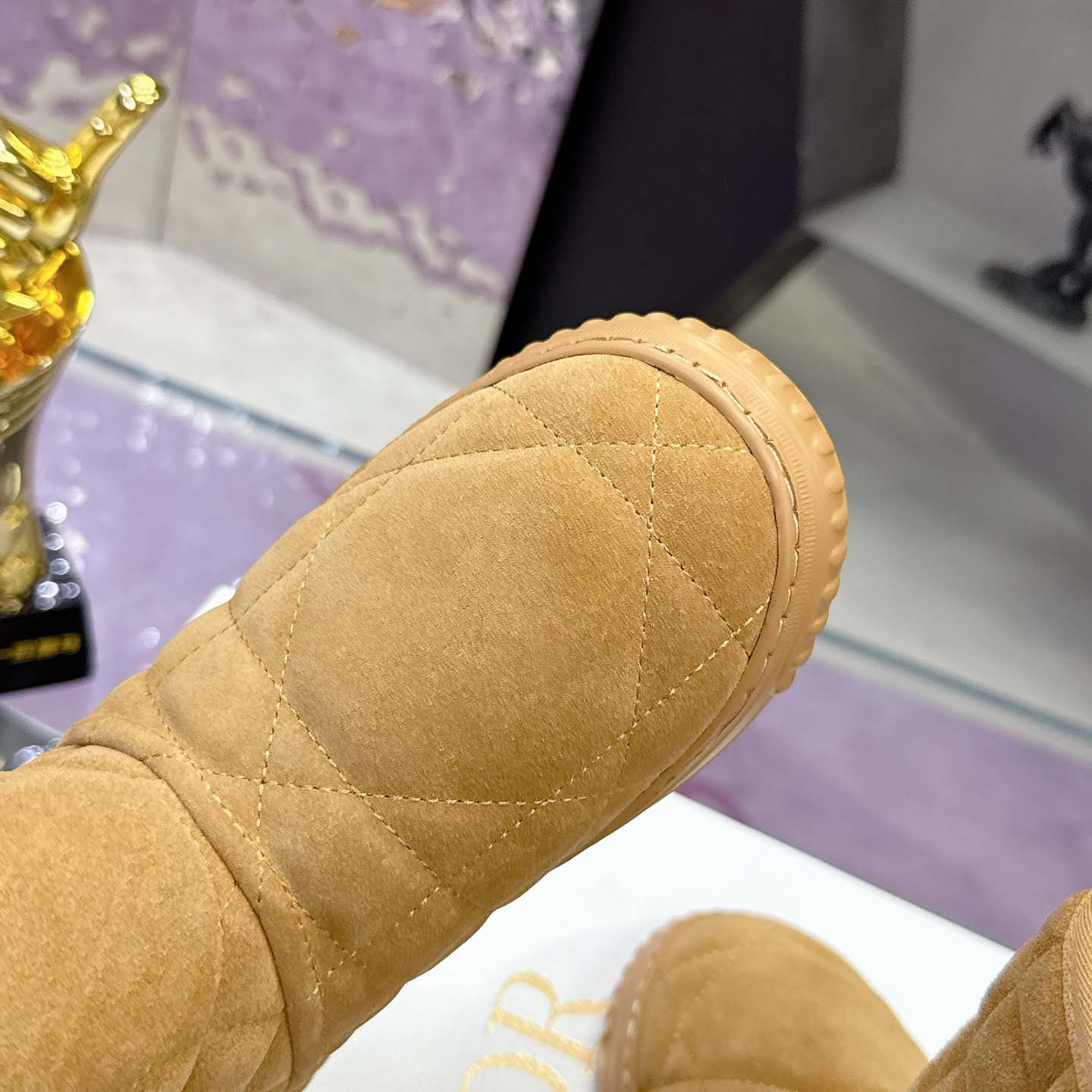 Dior Frost Ankle Boot  - FashionPlug