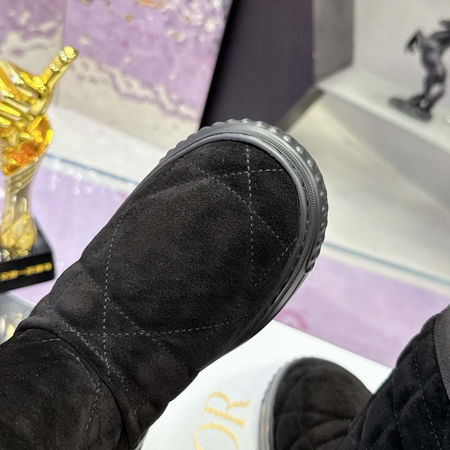 Dior Frost Ankle Boot  - FashionPlug