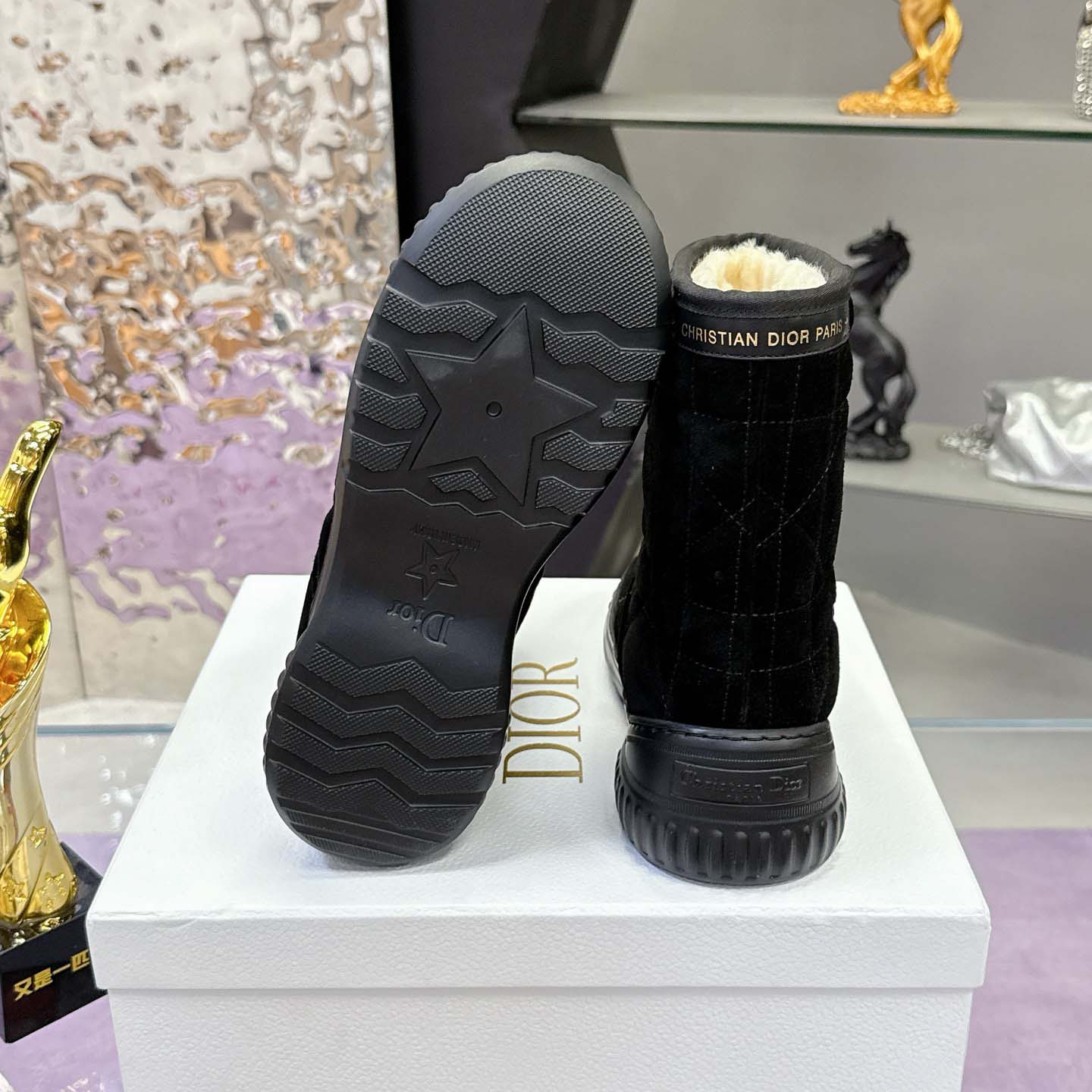 Dior Frost Ankle Boot  - FashionPlug