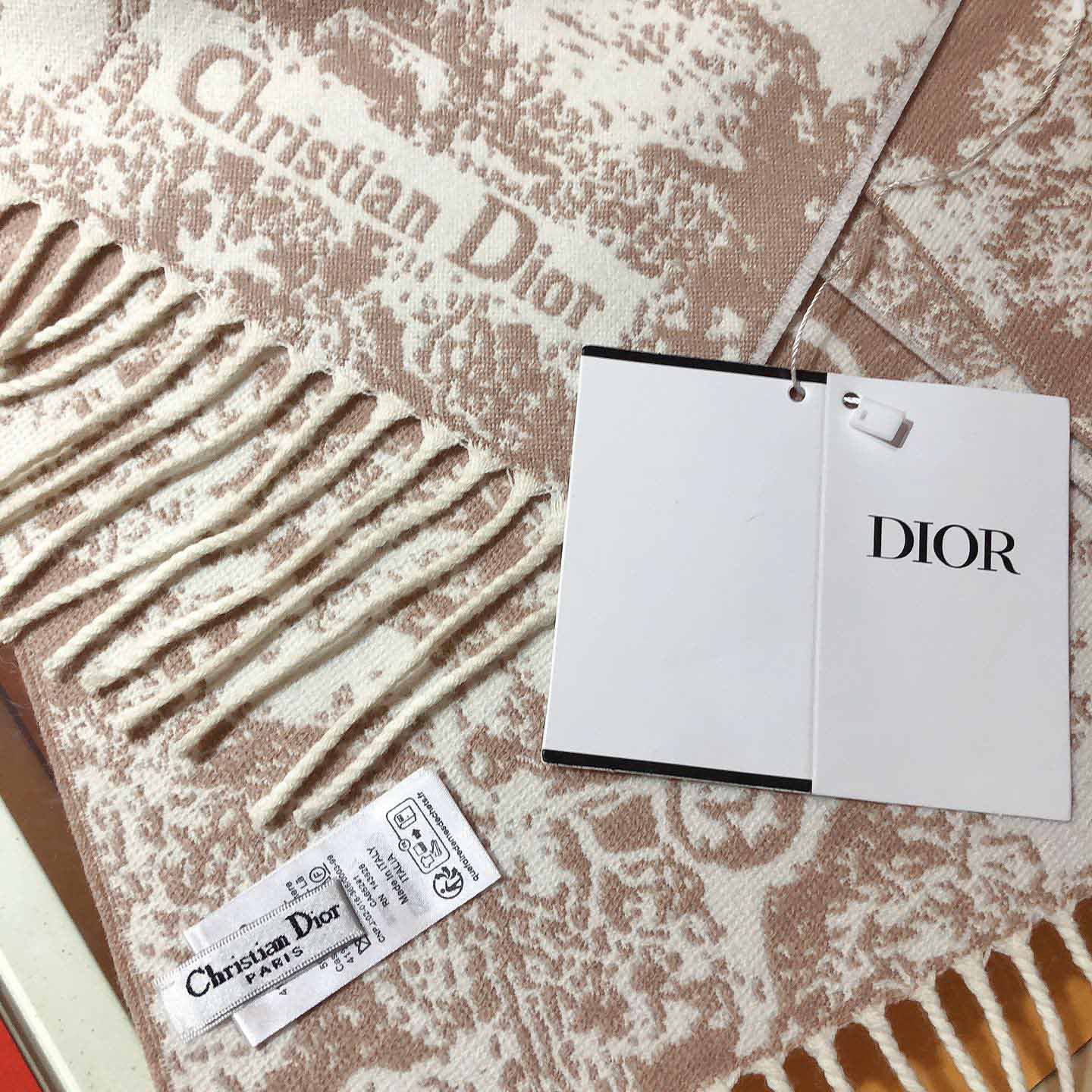 Dior Toile de Jouy Sauvage Scarf - FashionPlug