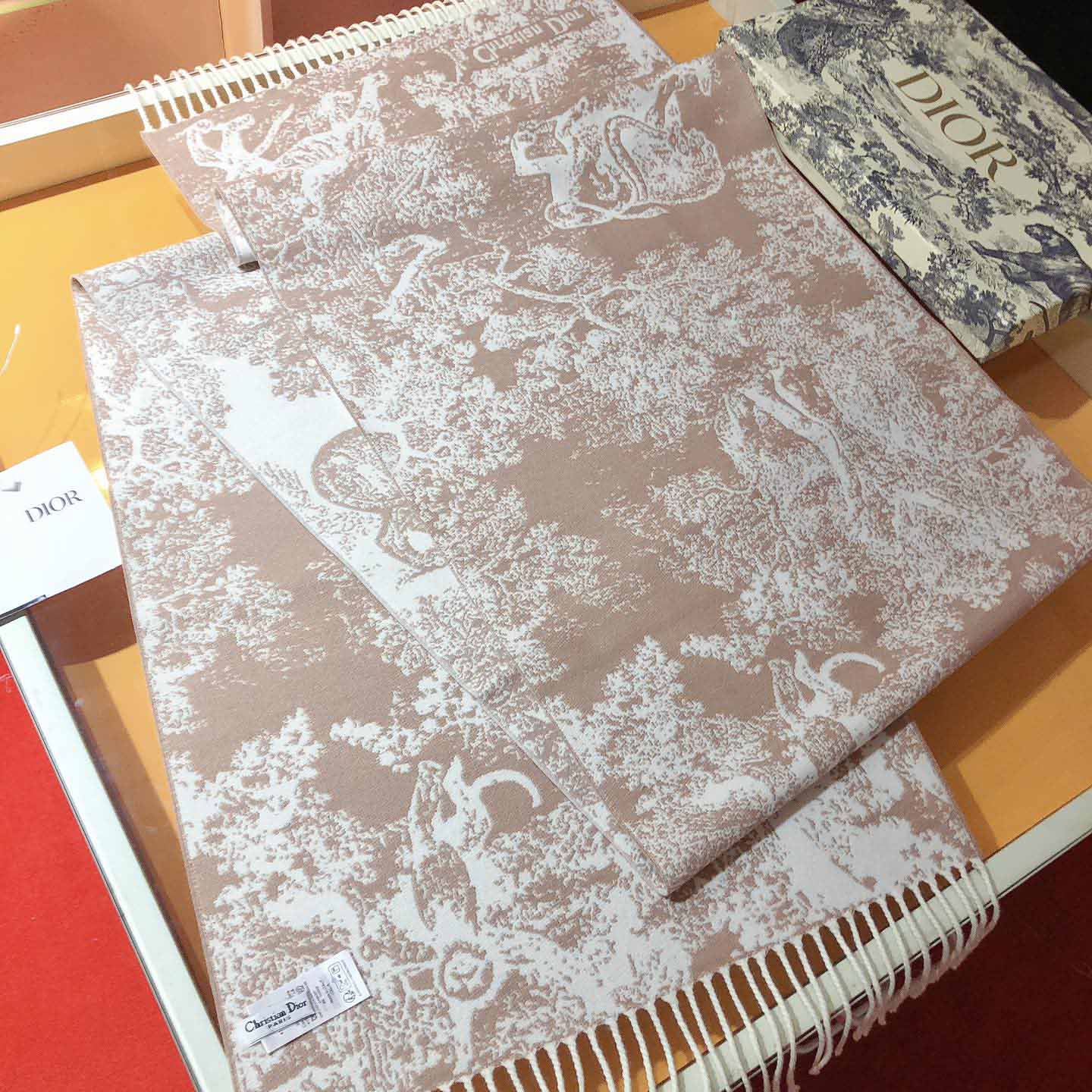 Dior Toile de Jouy Sauvage Scarf - FashionPlug