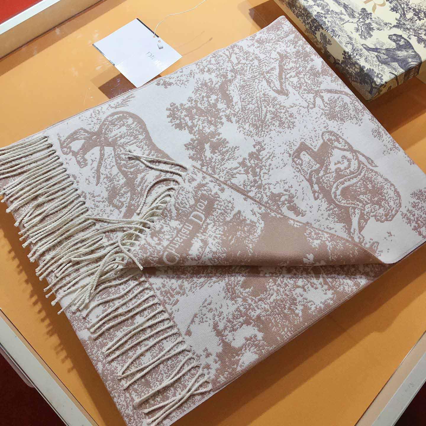 Dior Toile de Jouy Sauvage Scarf - FashionPlug
