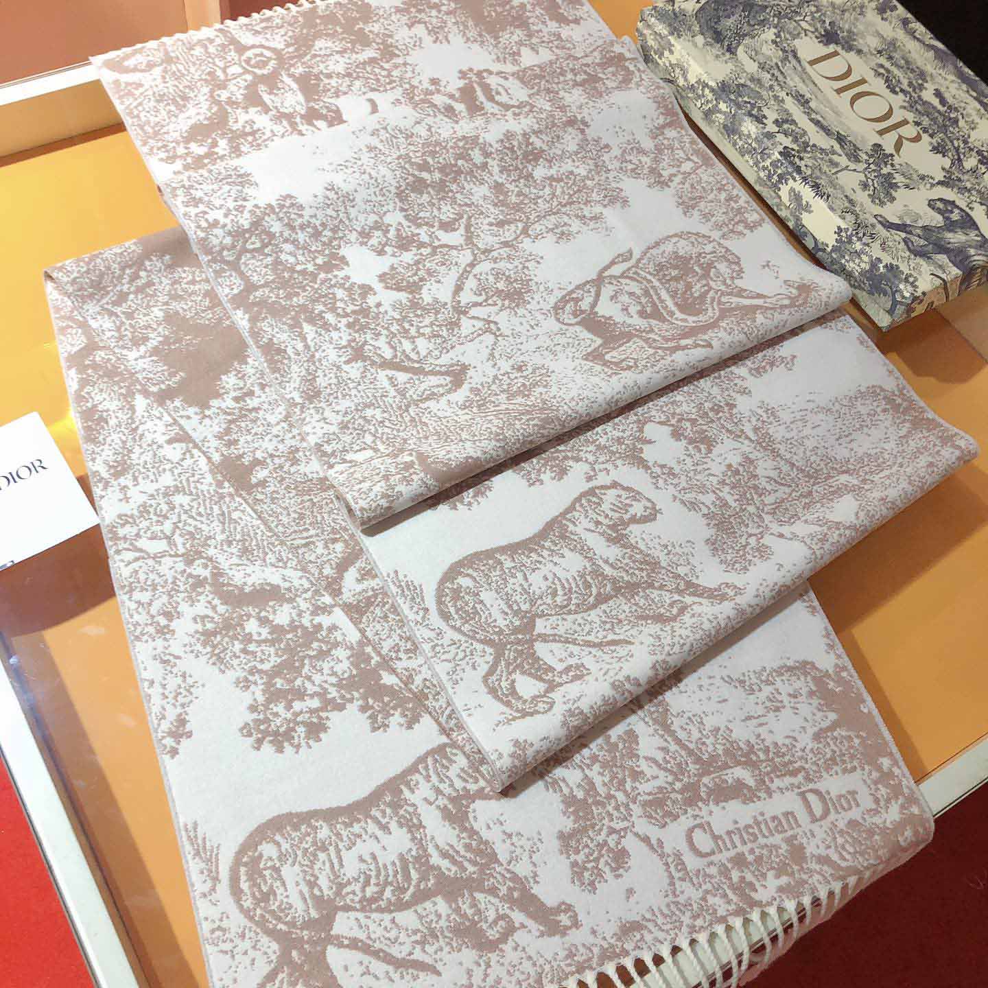Dior Toile de Jouy Sauvage Scarf - FashionPlug